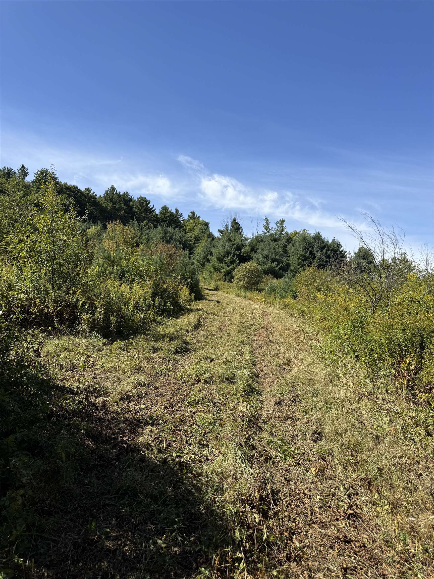 Woodbury & Eureka Road Property Photo 3