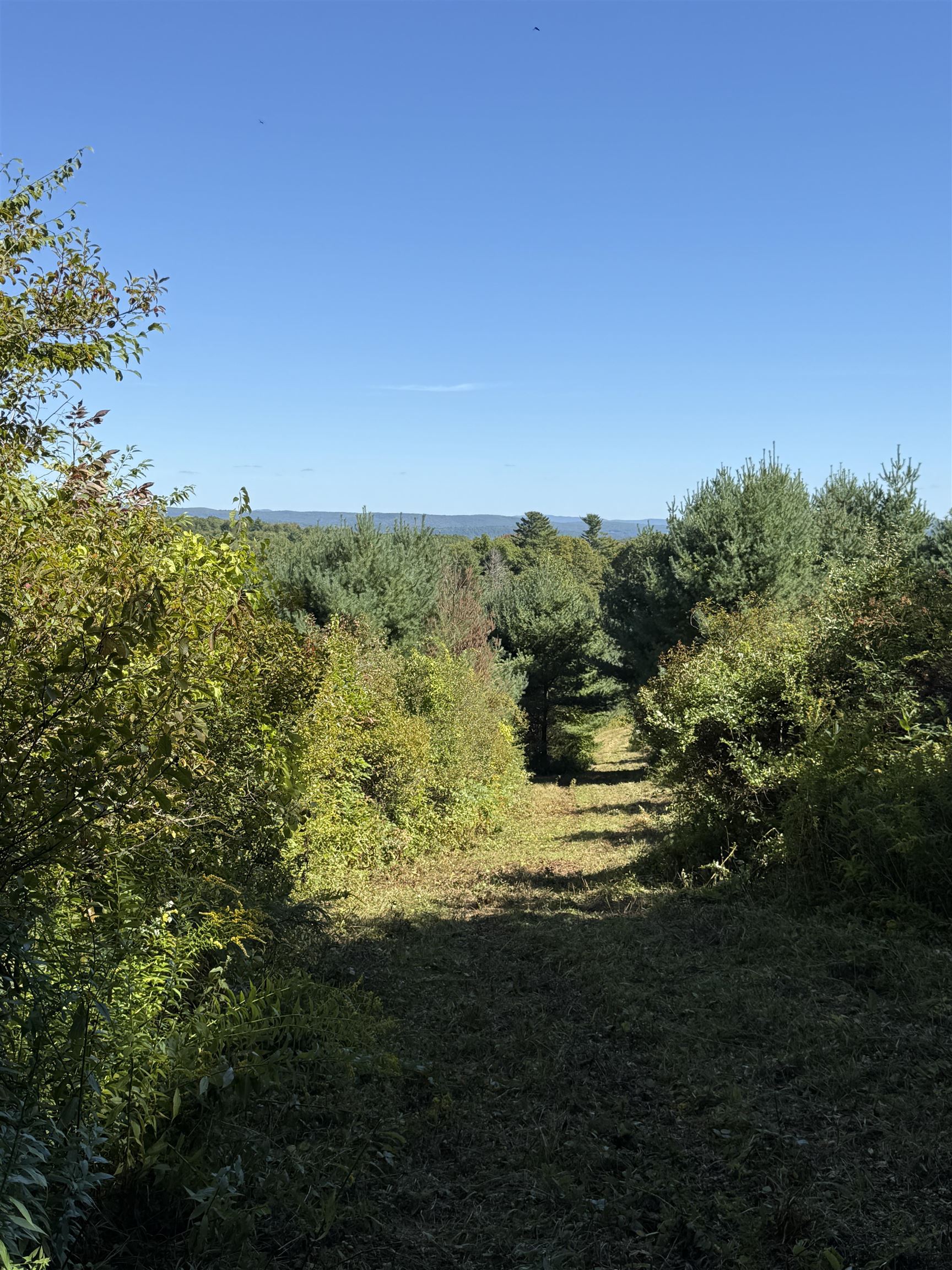 Woodbury & Eureka Road Property Photo 7