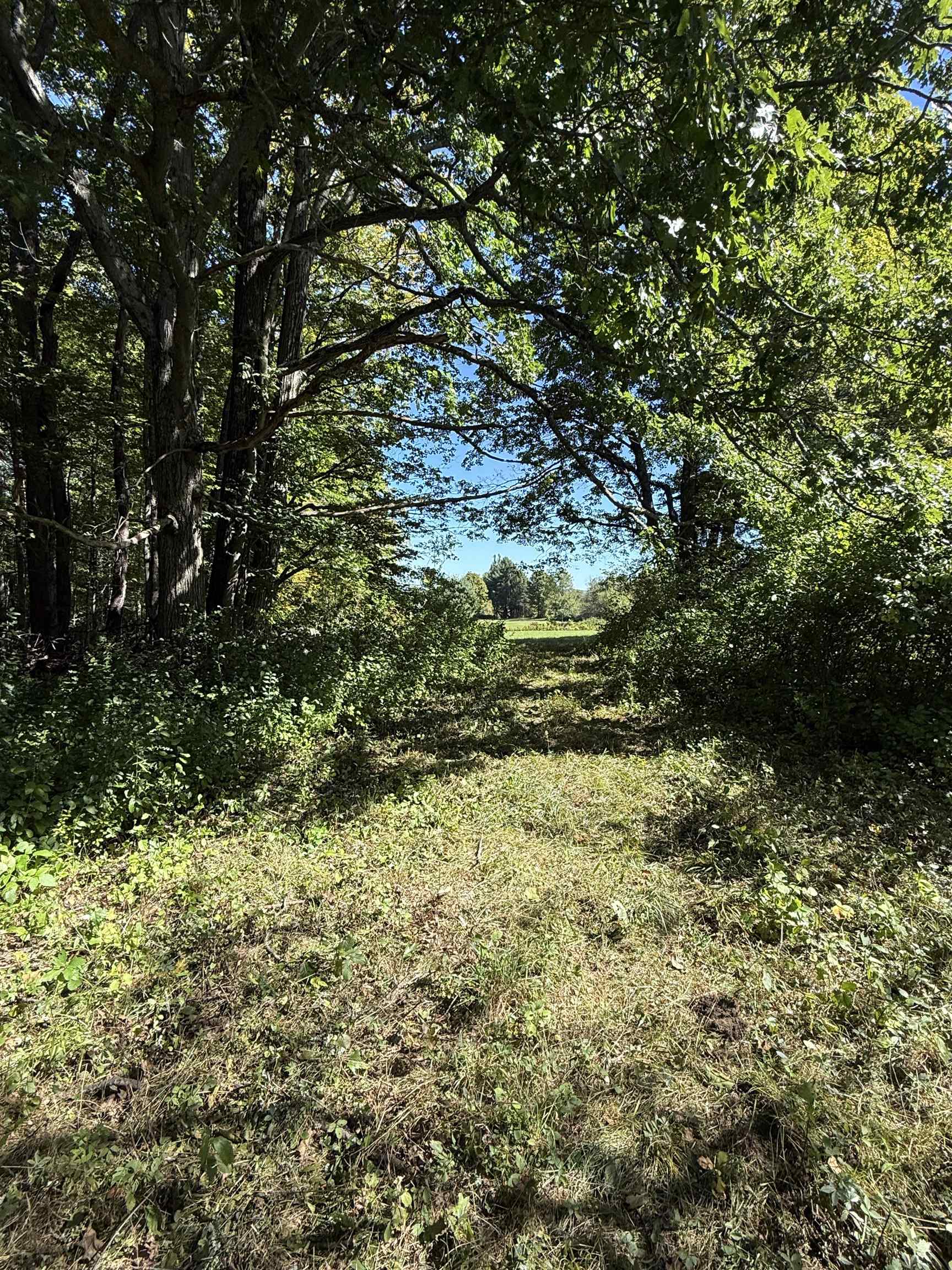Woodbury & Eureka Road Property Photo 8