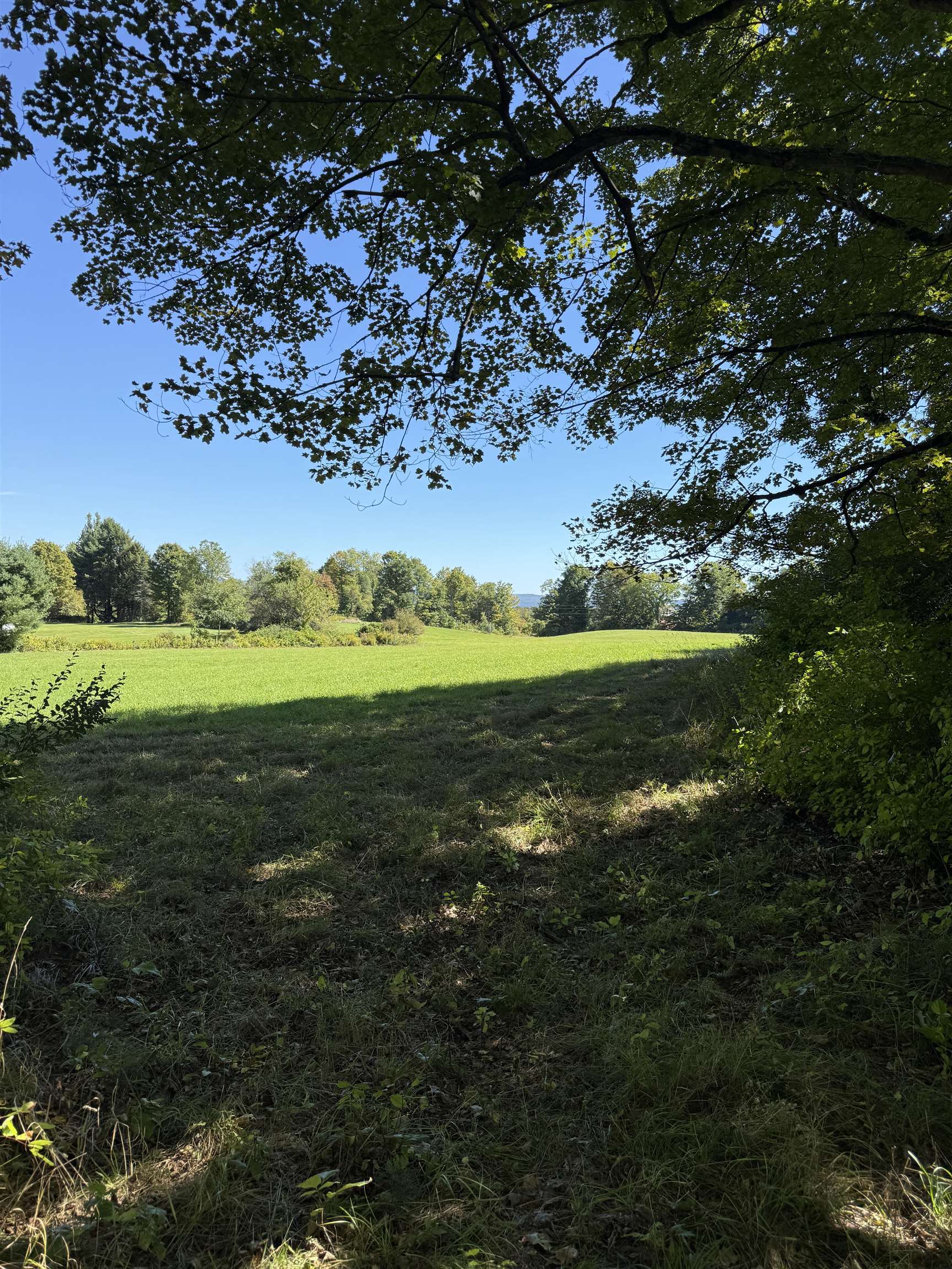 Woodbury & Eureka Road Property Photo 9