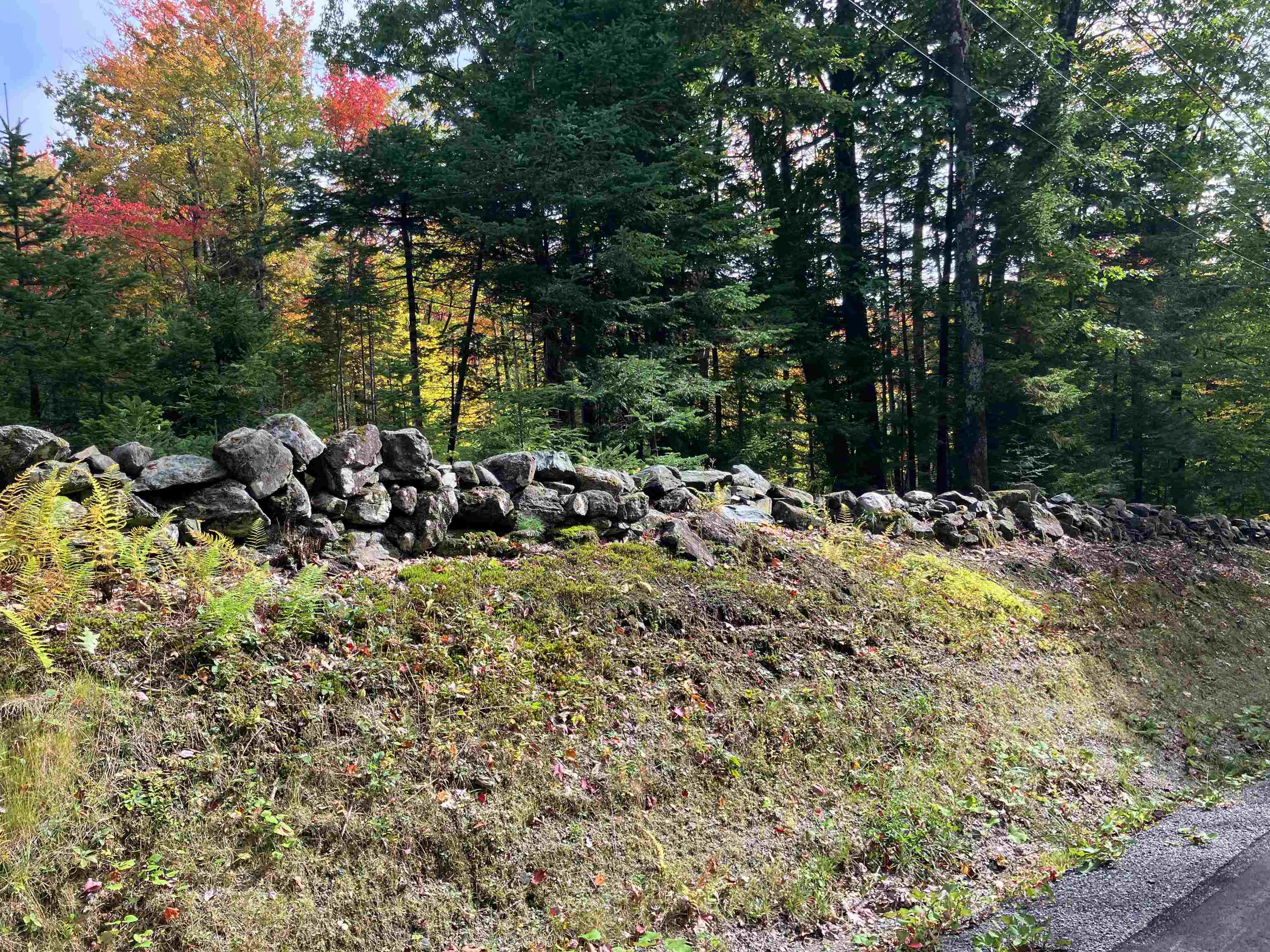 74 Villager Loop Property Photo 2