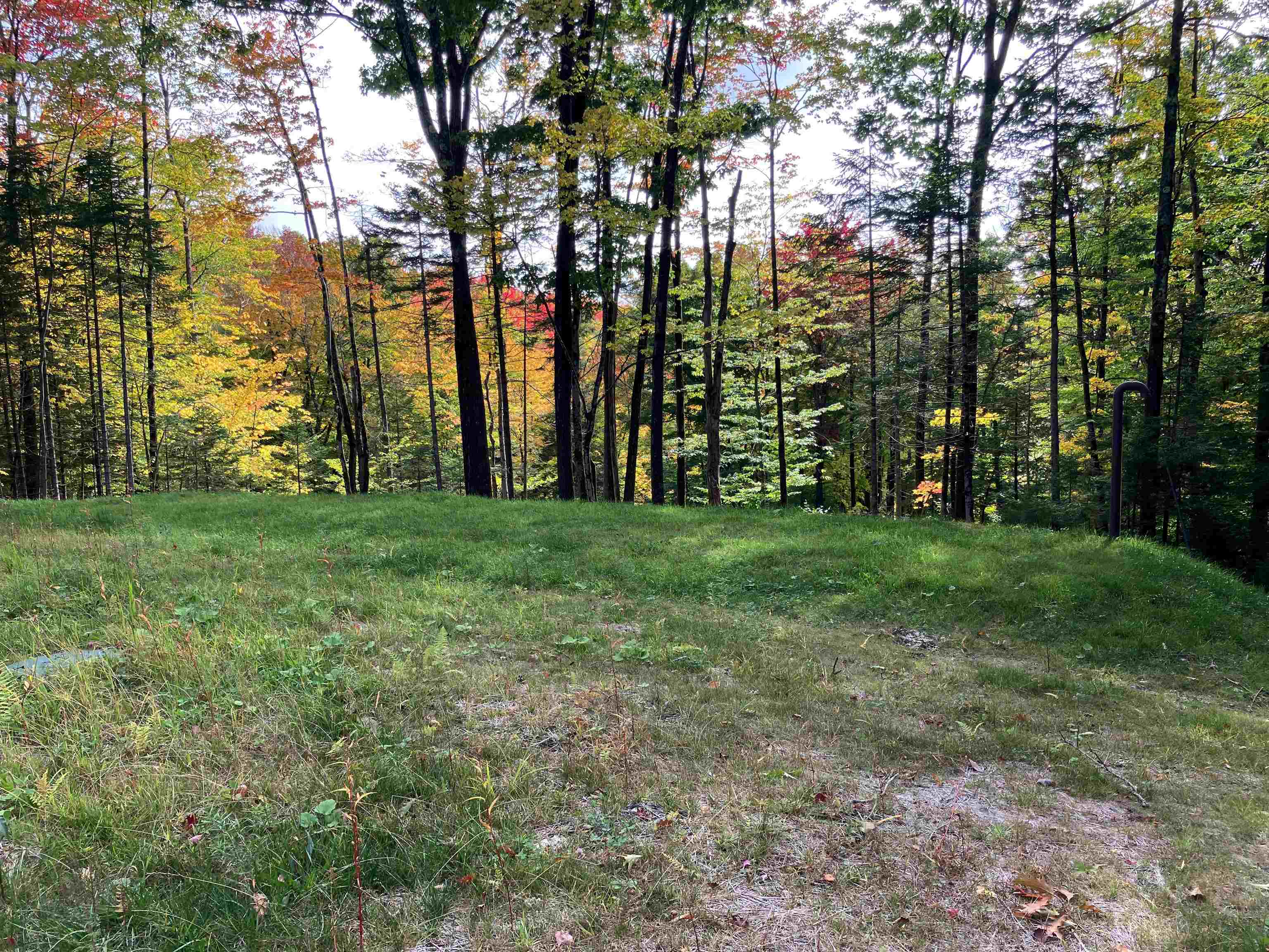 74 Villager Loop Property Photo 6