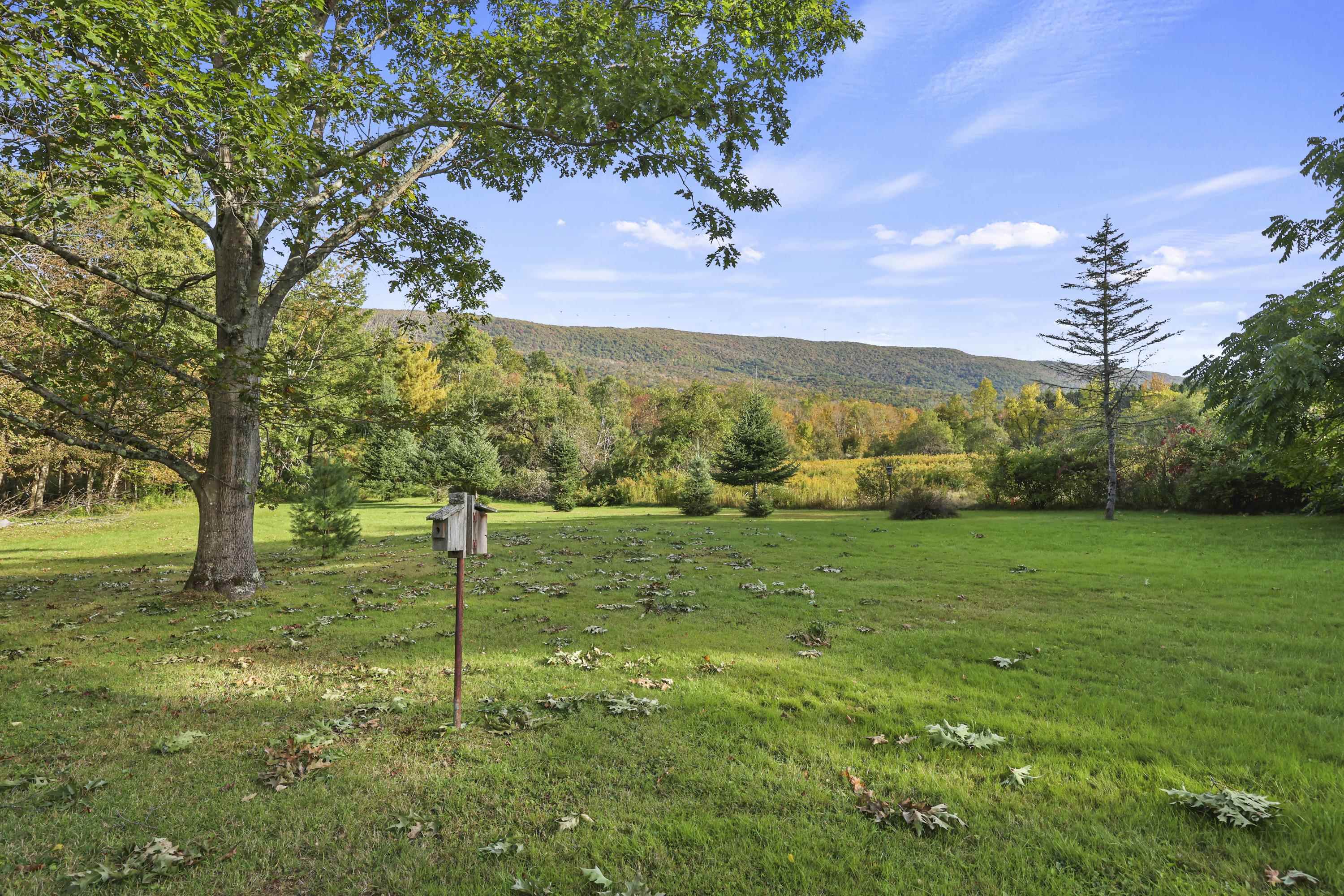 1112 Main Road Property Photo 27