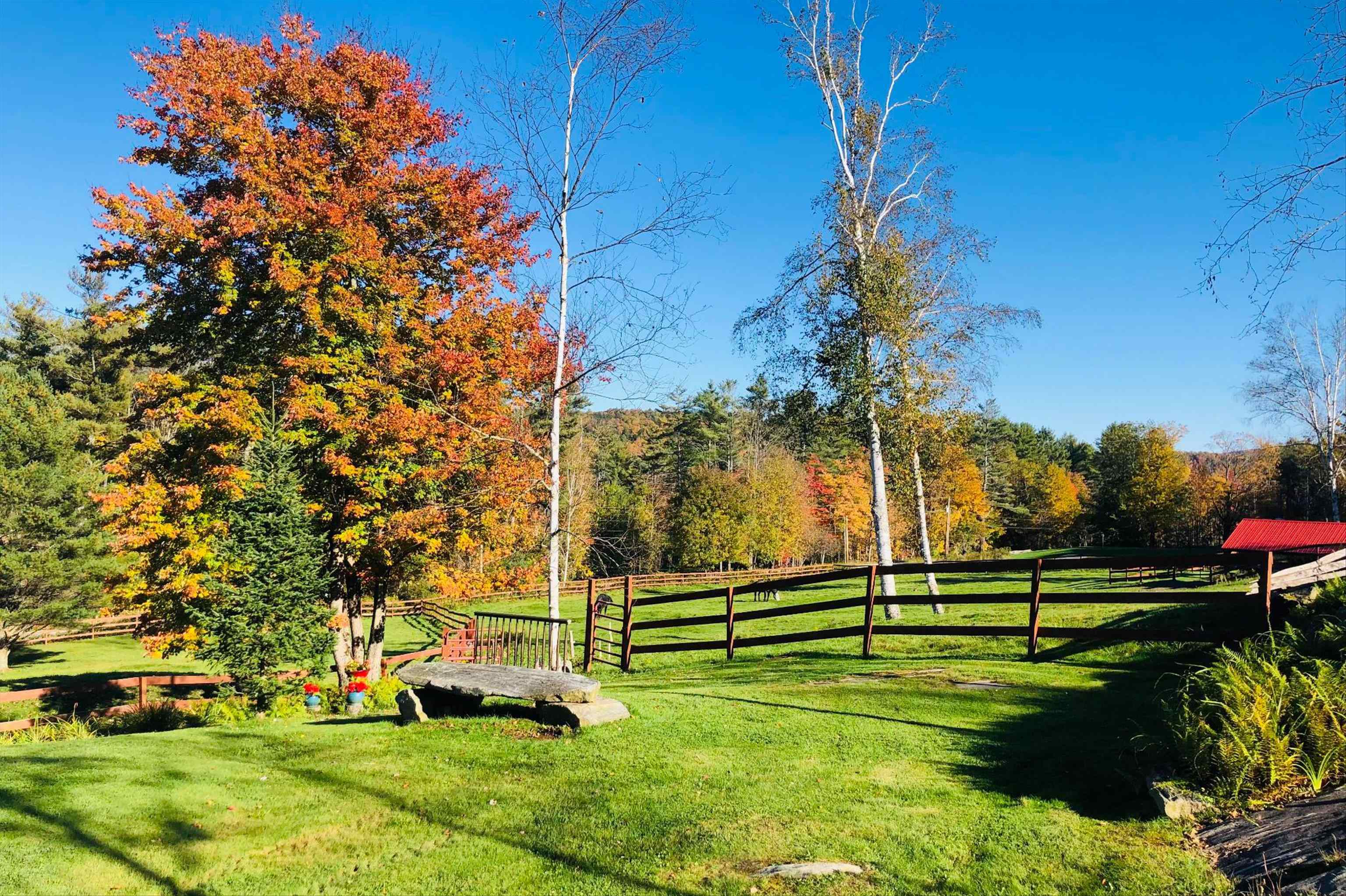 2141 Twenty Mile Stream Road Property Photo 45