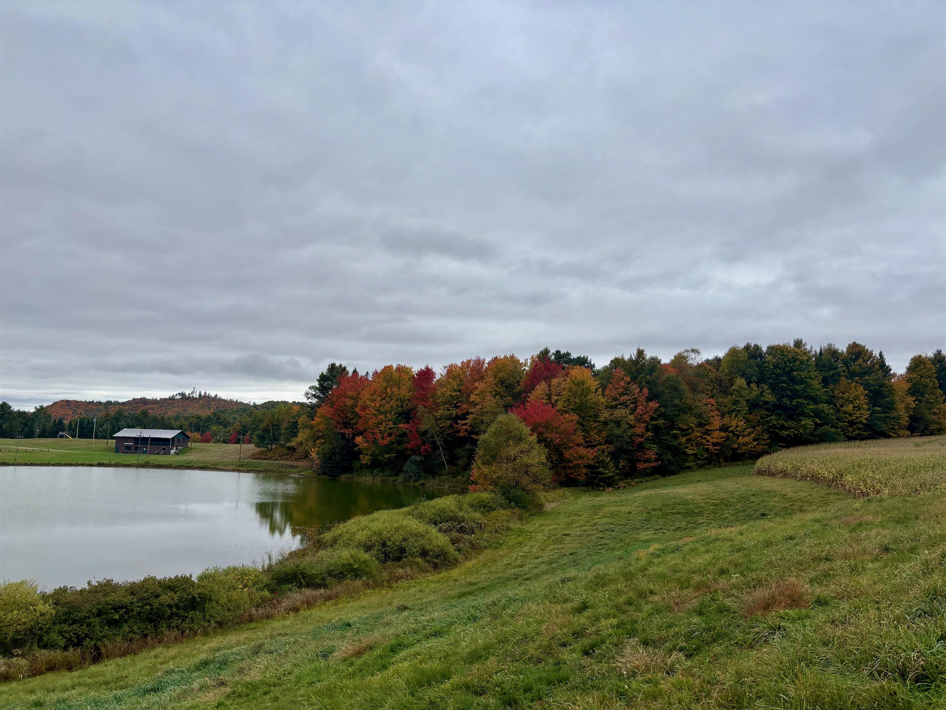 0000 Lily Pond Road Property Photo 1