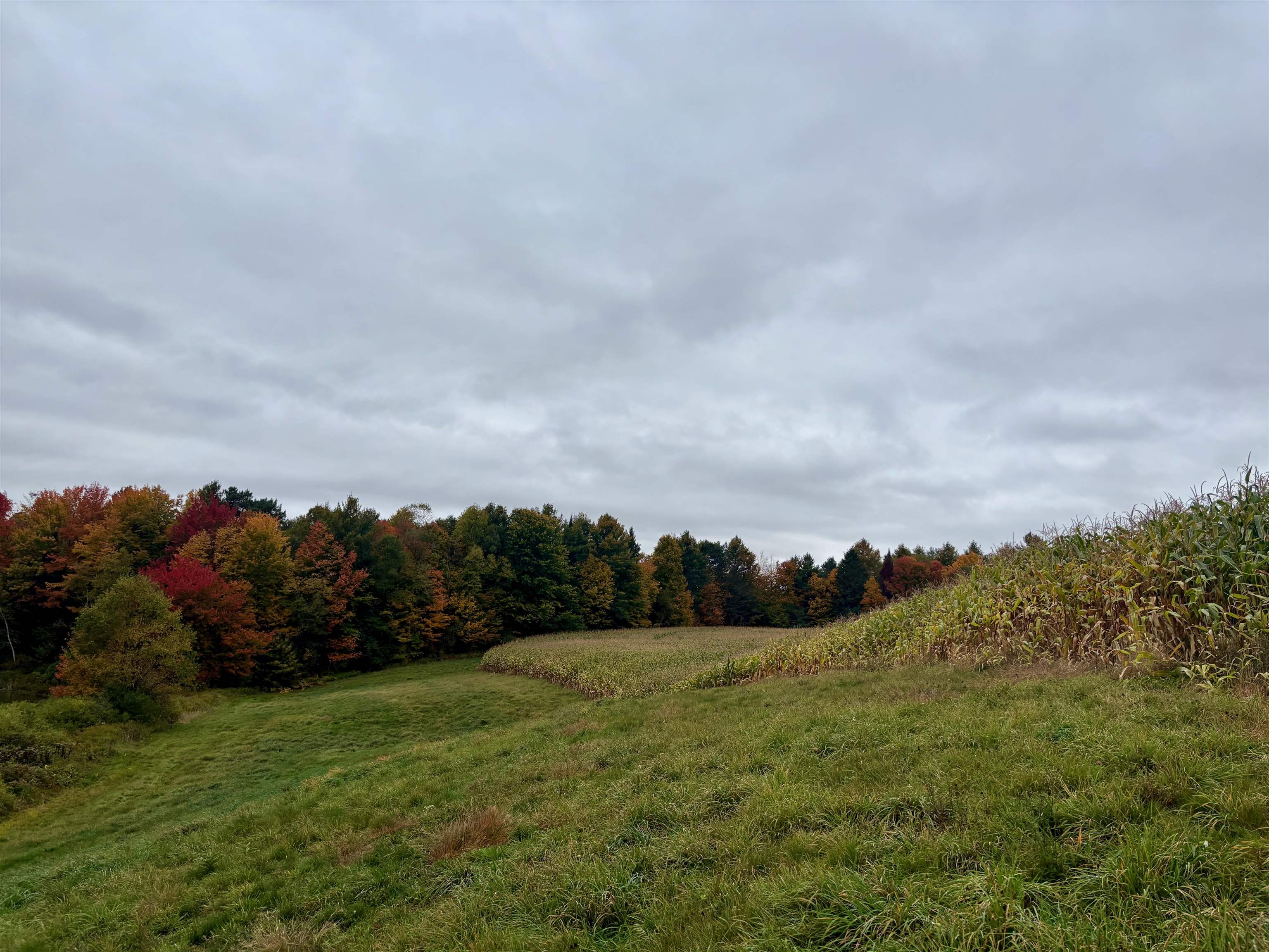 0000 Lily Pond Road Property Photo 3
