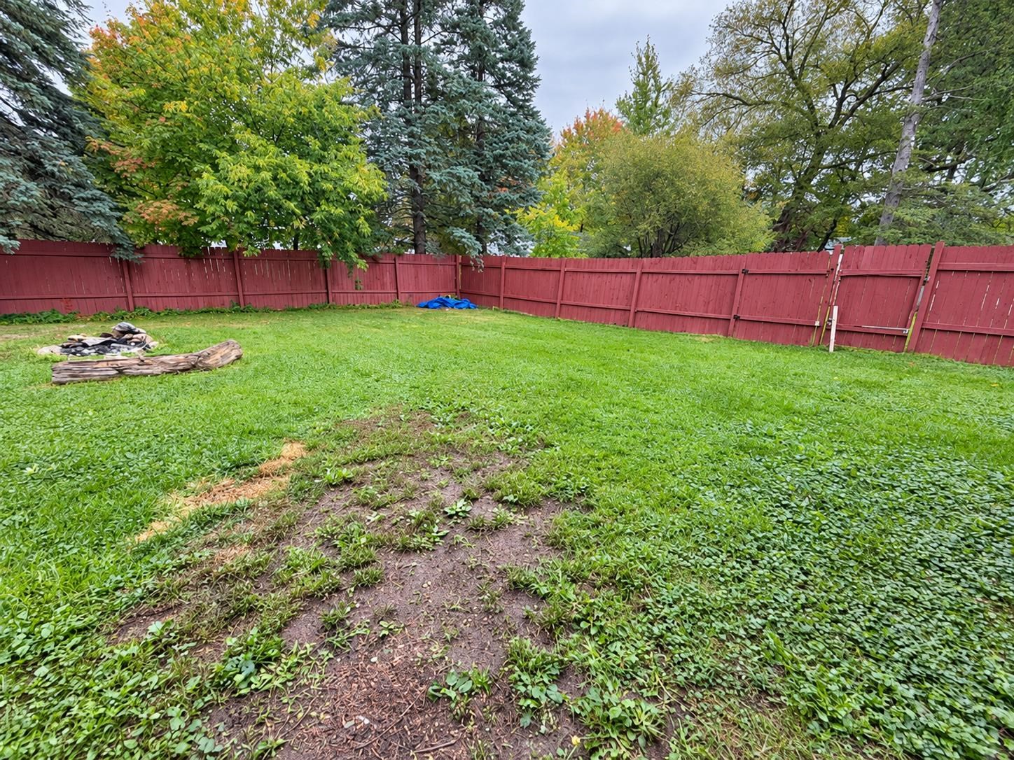 1800 Hutchins Street Property Photo 38