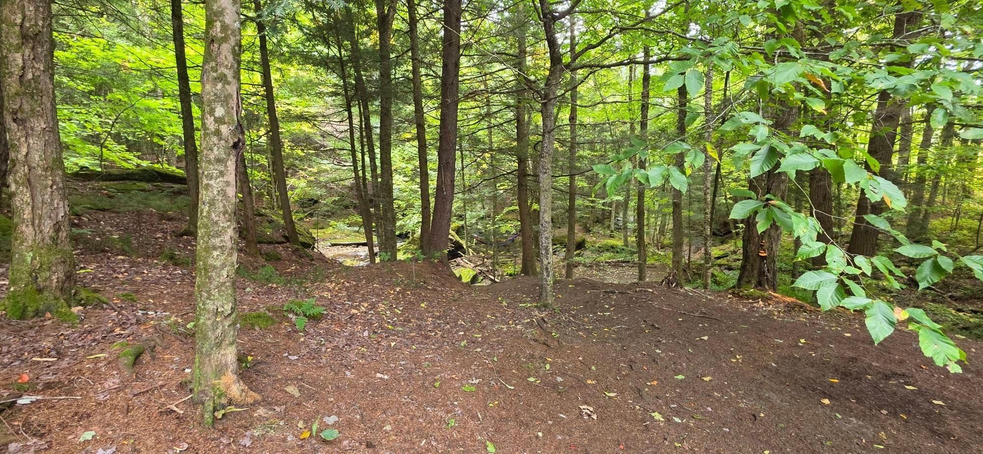 802 Downingsville Road Property Photo 21