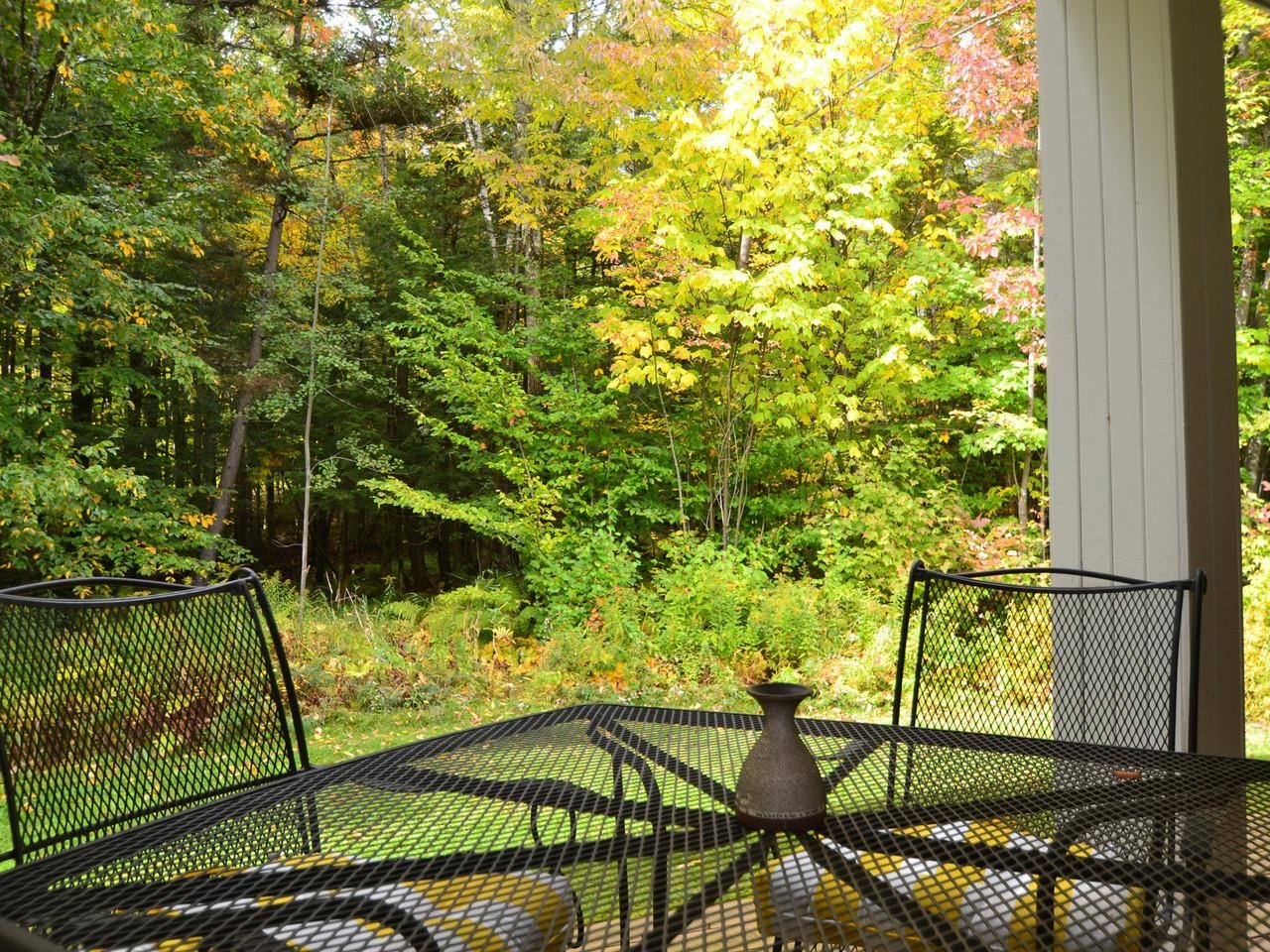 167 Club Sugarbush North Road Property Photo 40