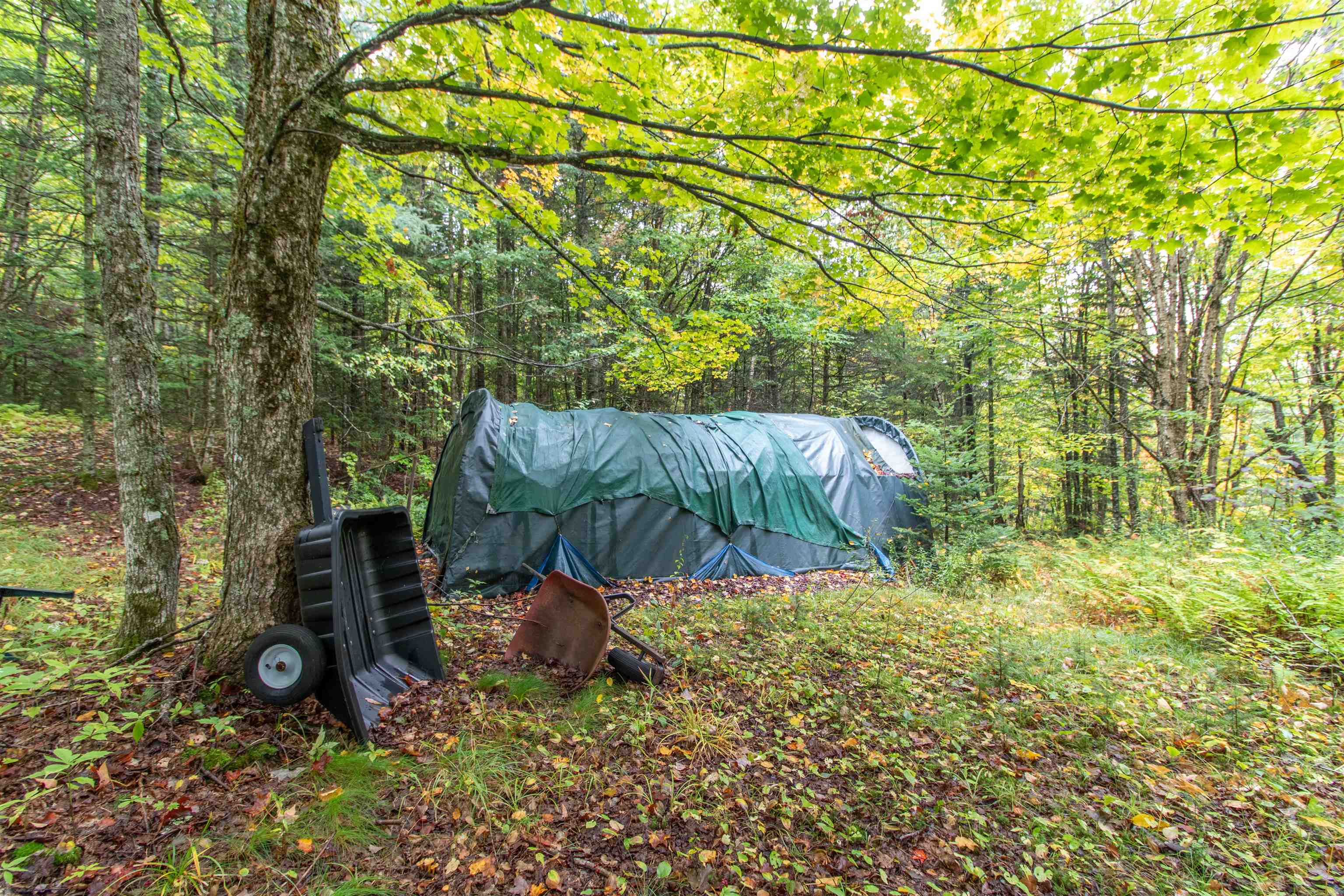 69 Toad Pond Heights Property Photo 49