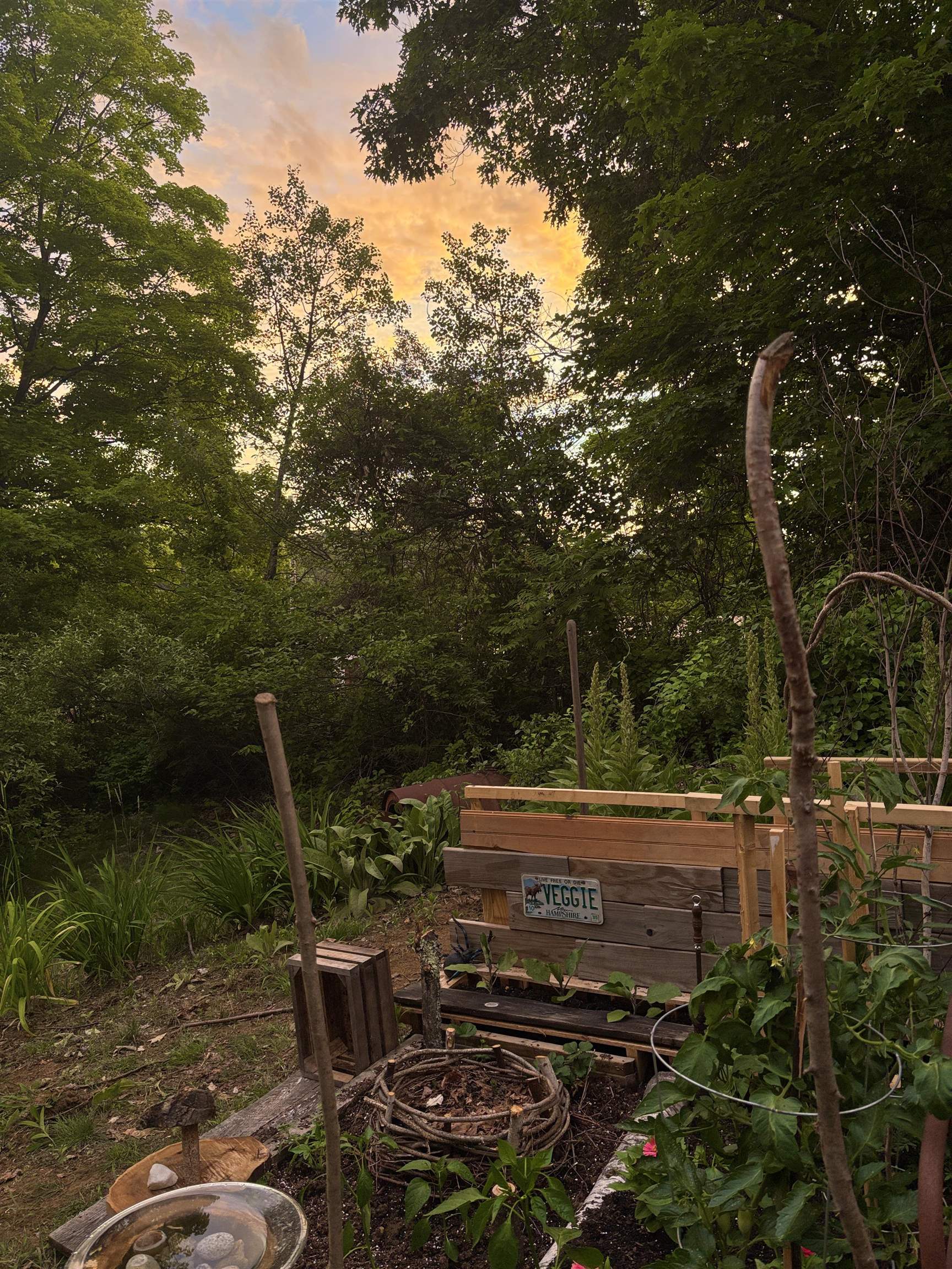 84 Main Street Property Photo 47