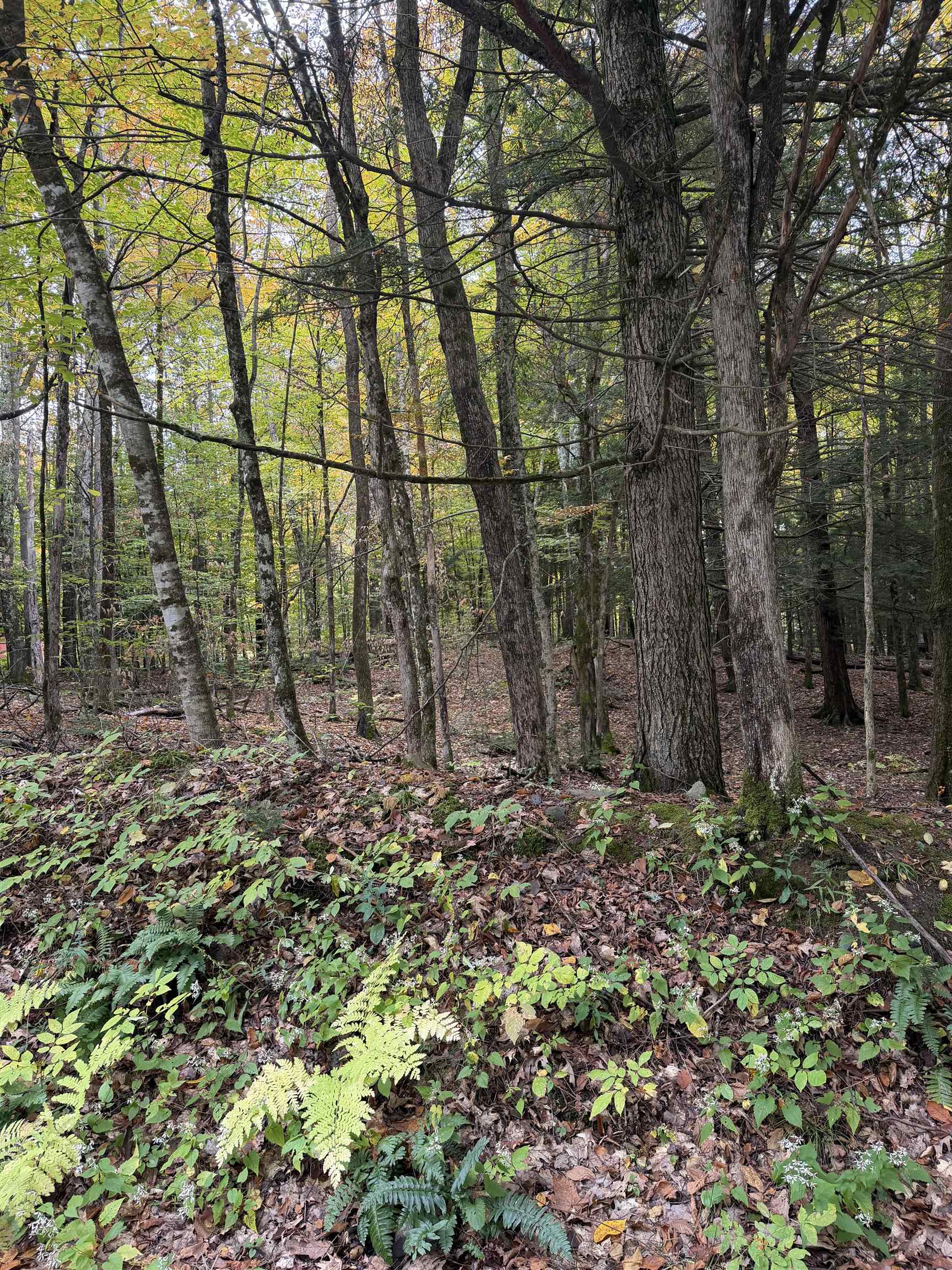 0 Baker Turn Property Photo 1