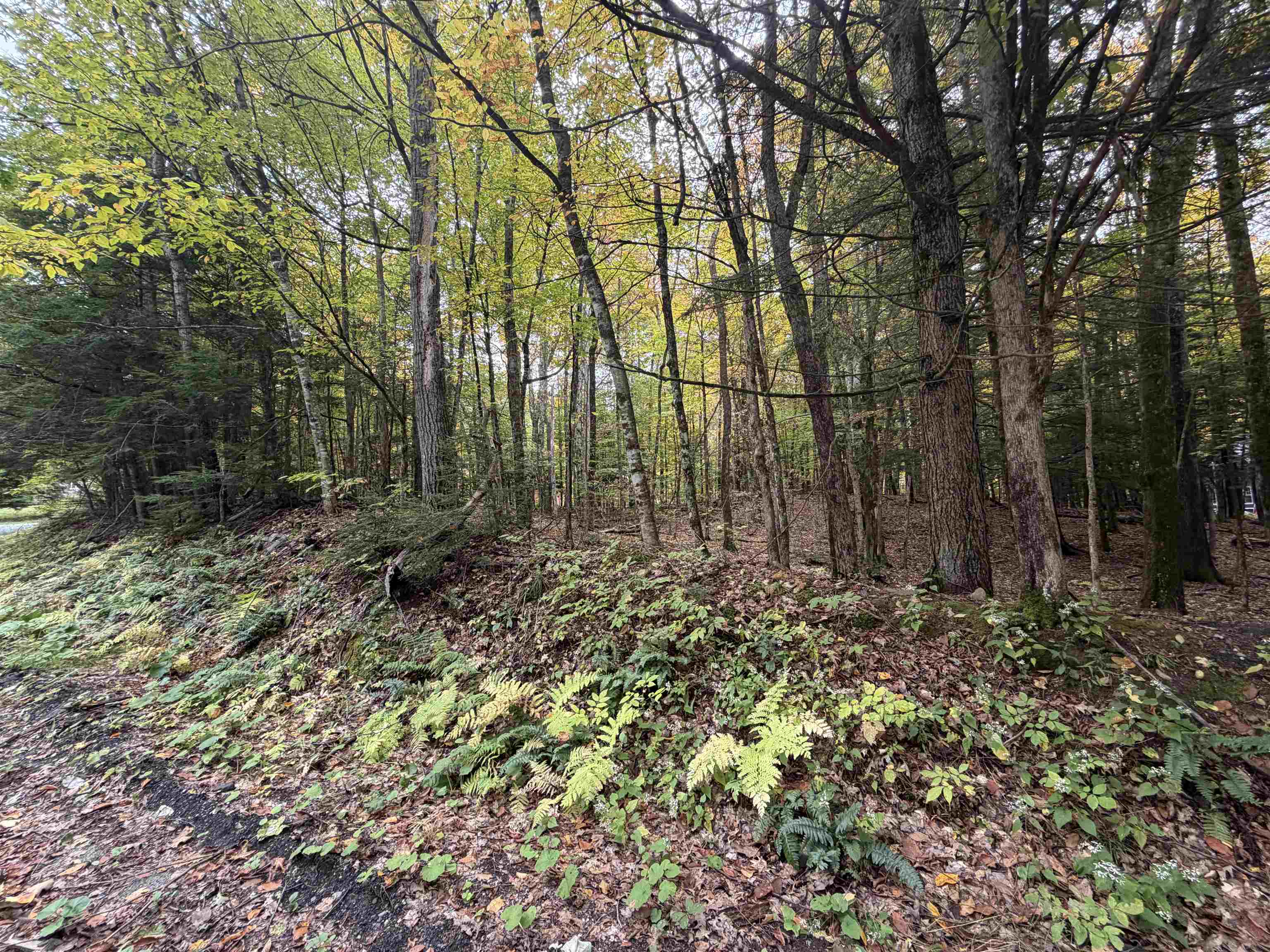 0 Baker Turn Property Photo 2