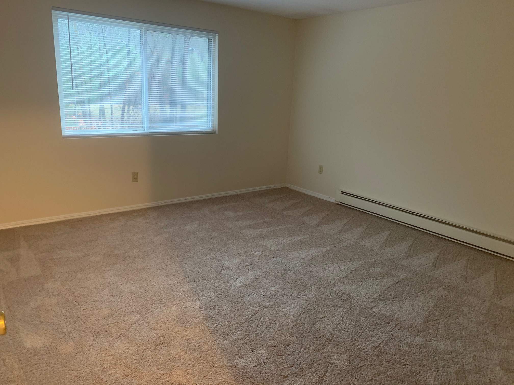 95 Powers Street Property Photo 31