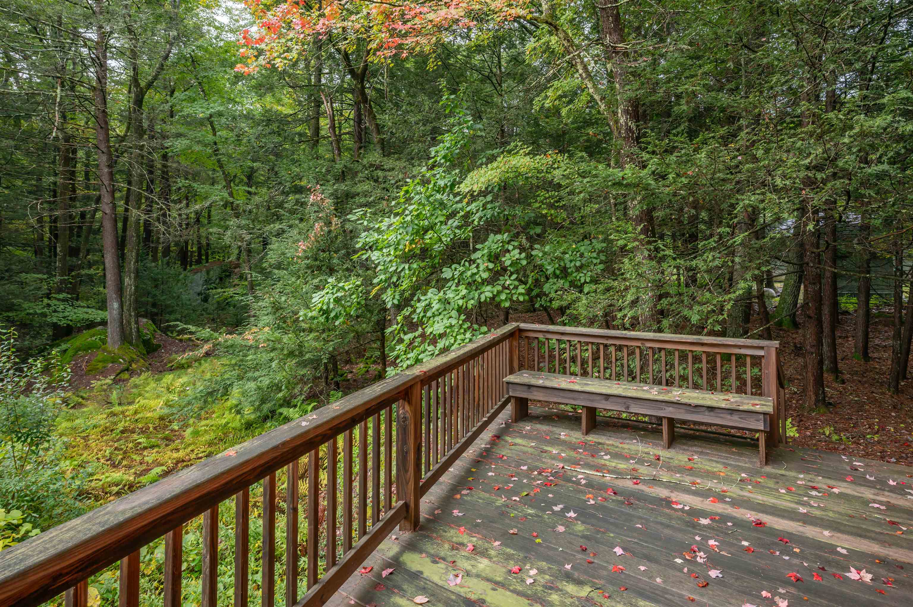 13 Parker Road Property Photo 2