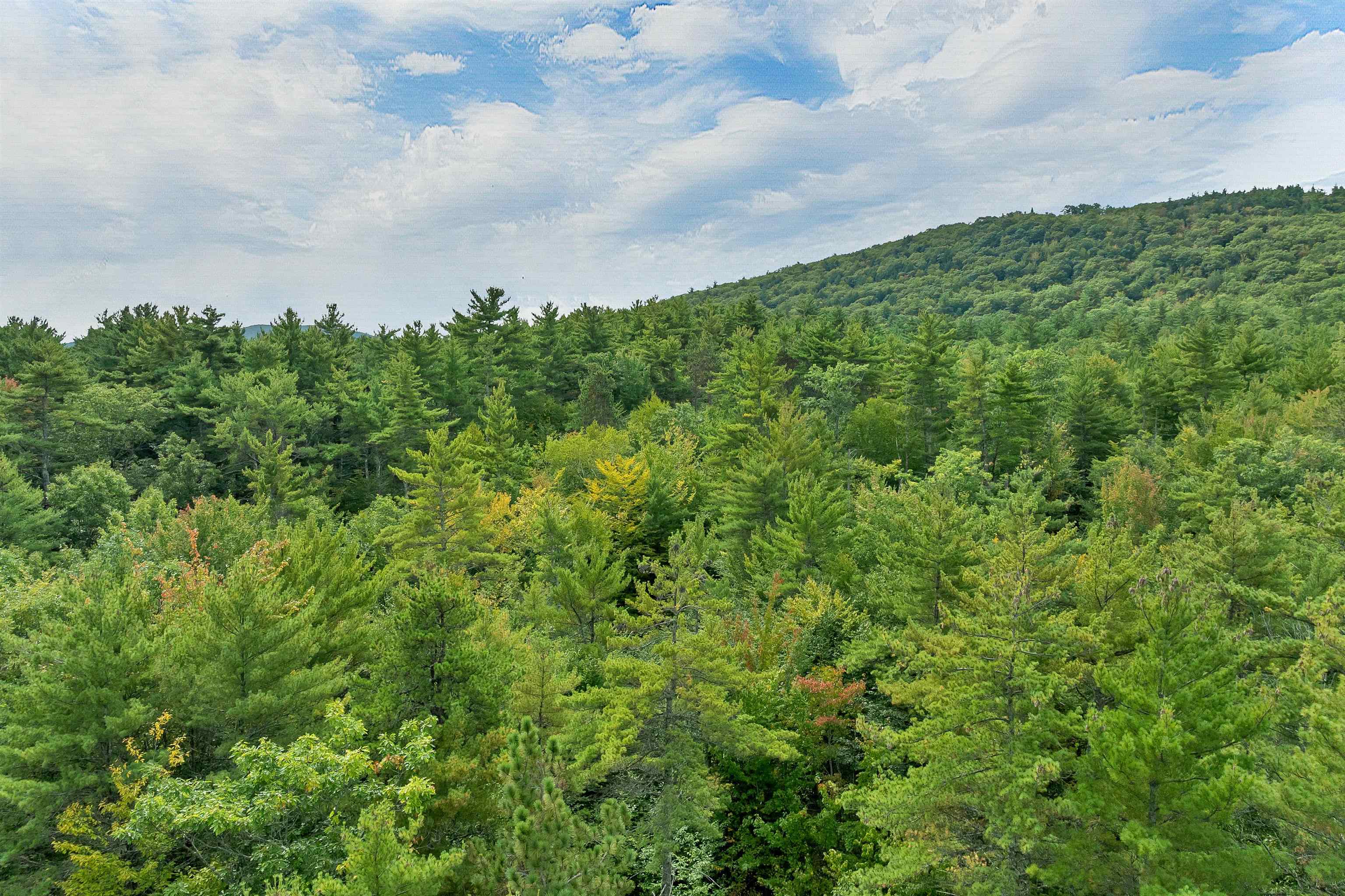 4 Whispering Pines Way Property Photo 7