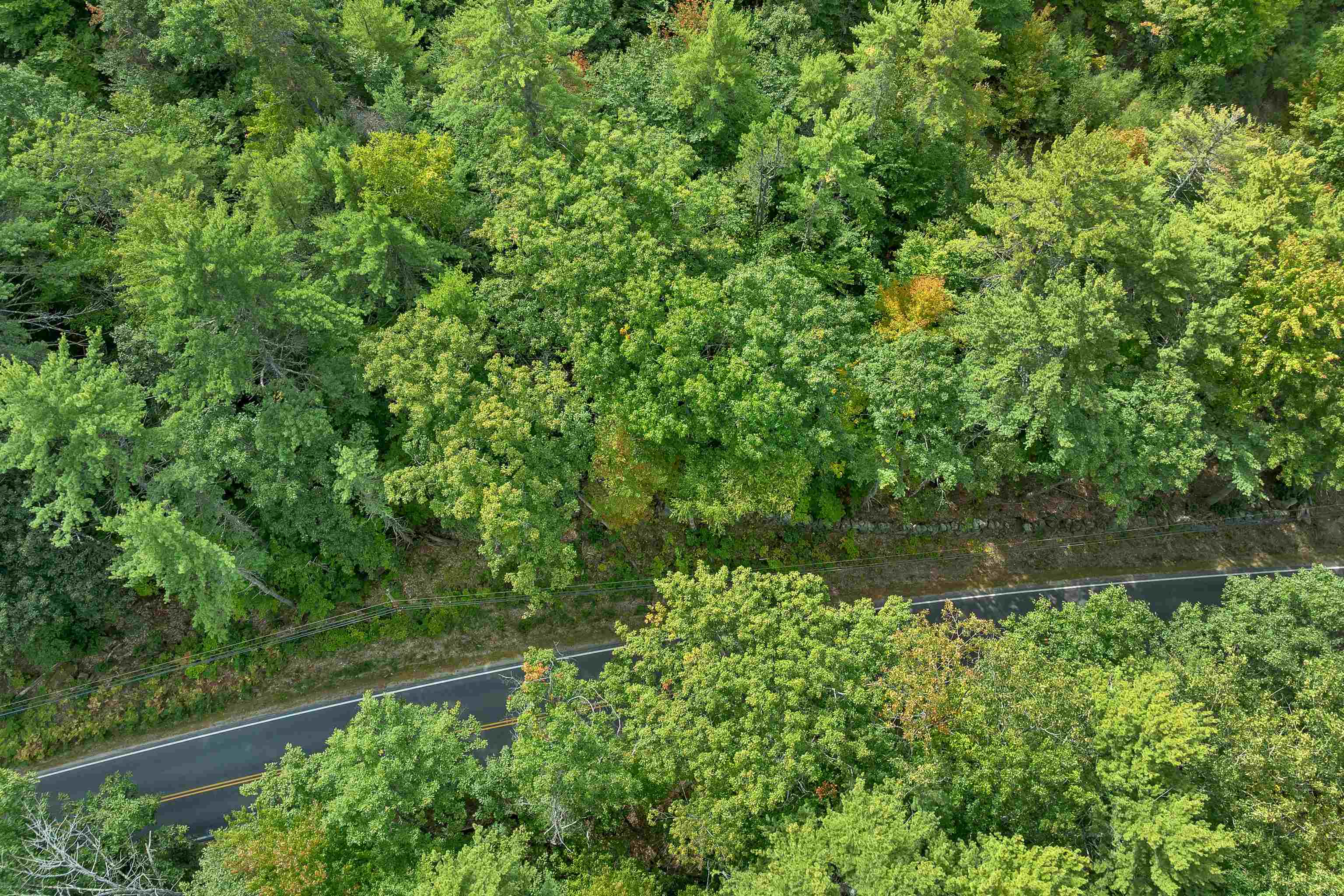 2 Whispering Pines Way Property Photo 2