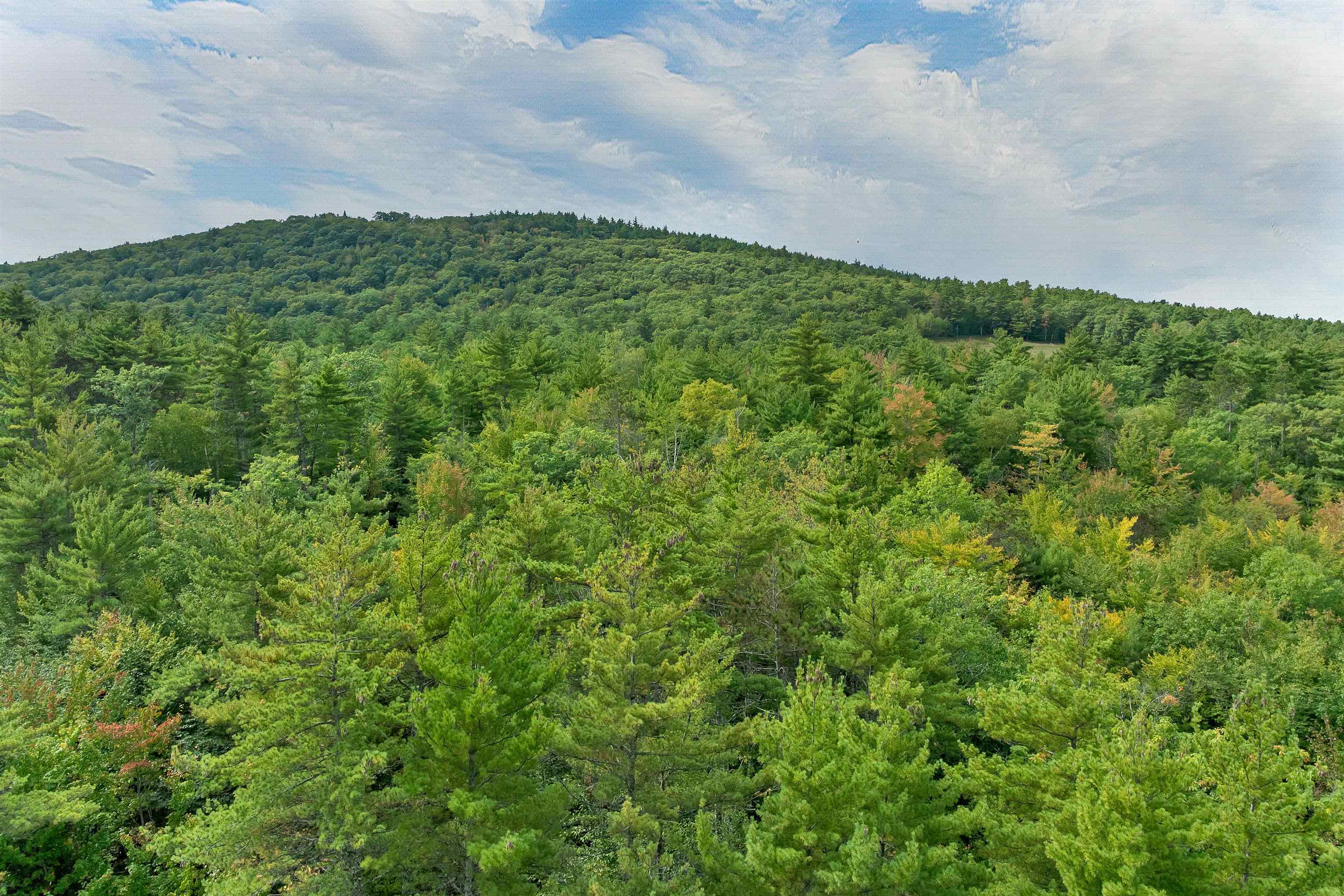 2 Whispering Pines Way Property Photo 6