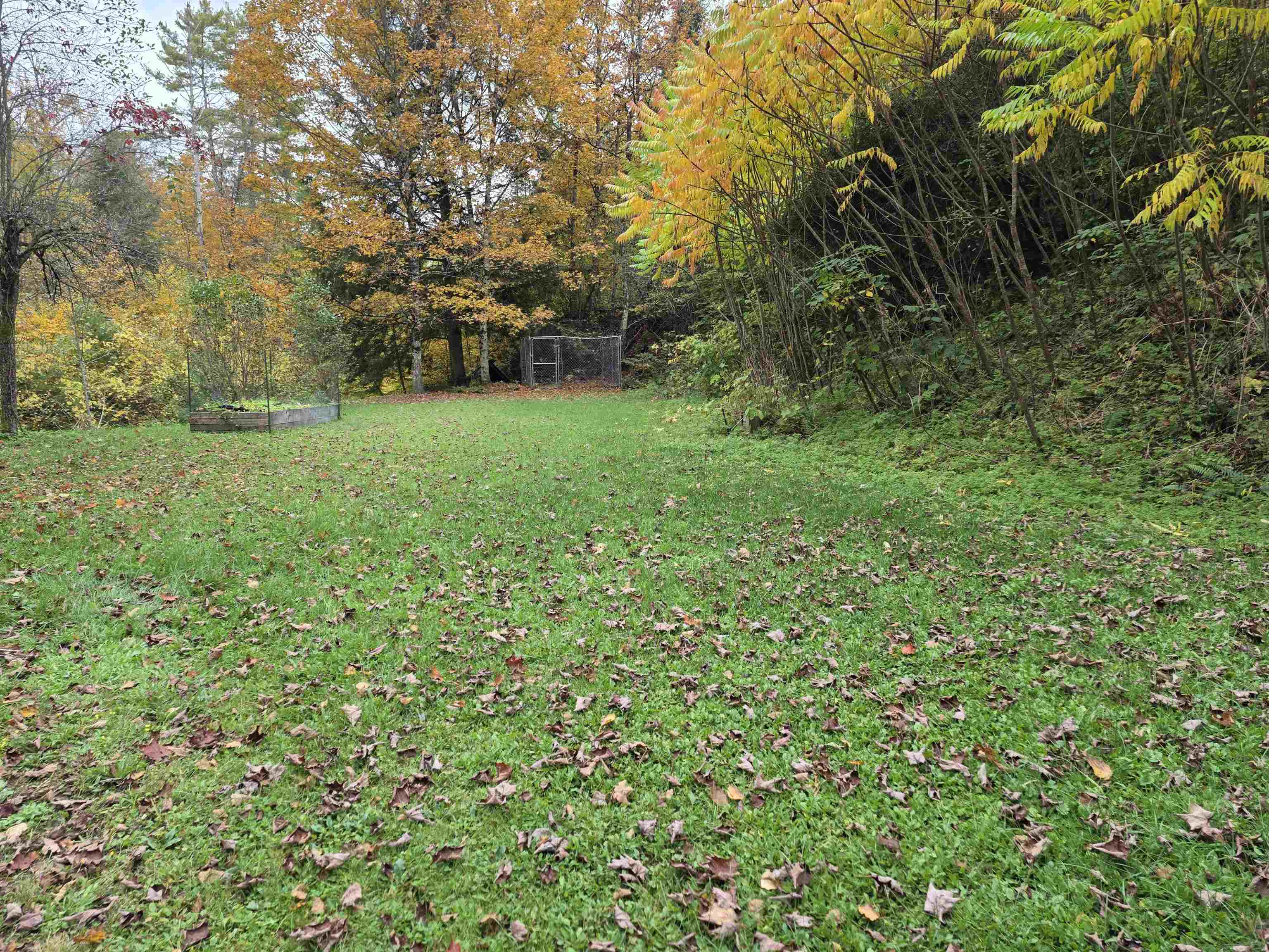 1624 Lilliesville Brook Road Property Photo 30