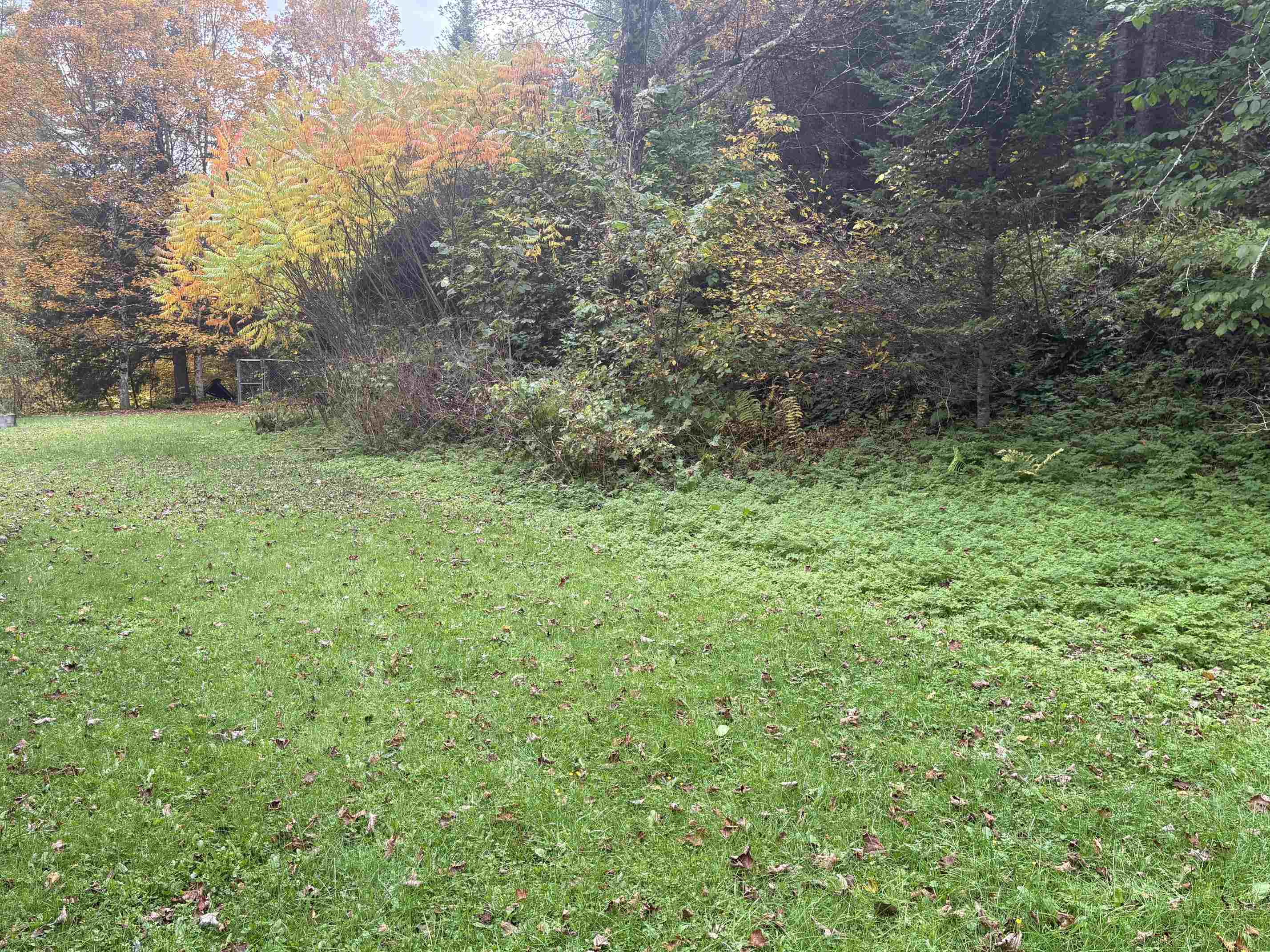 1624 Lilliesville Brook Road Property Photo 47