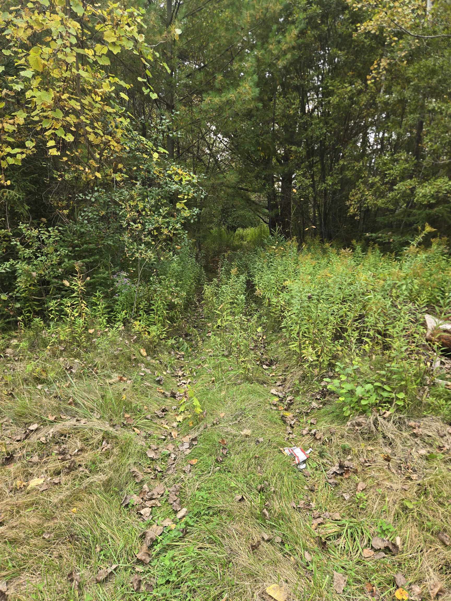 265 East Clarendon Road Property Photo 3