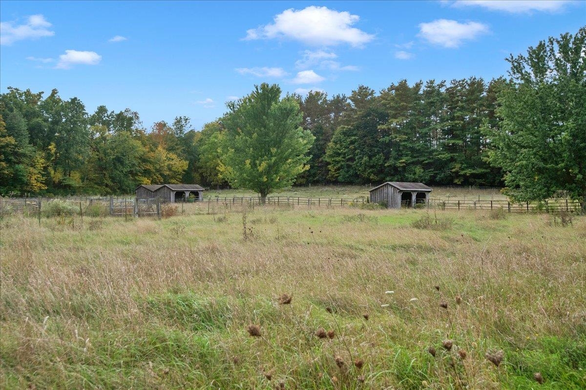 185 Adams Road Property Photo 49