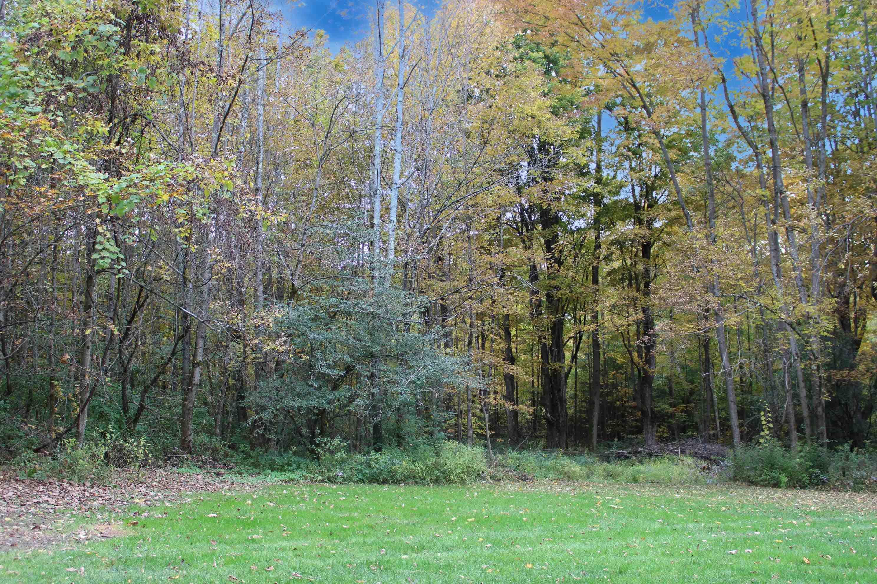 852 Boardman Hill Property Photo 34