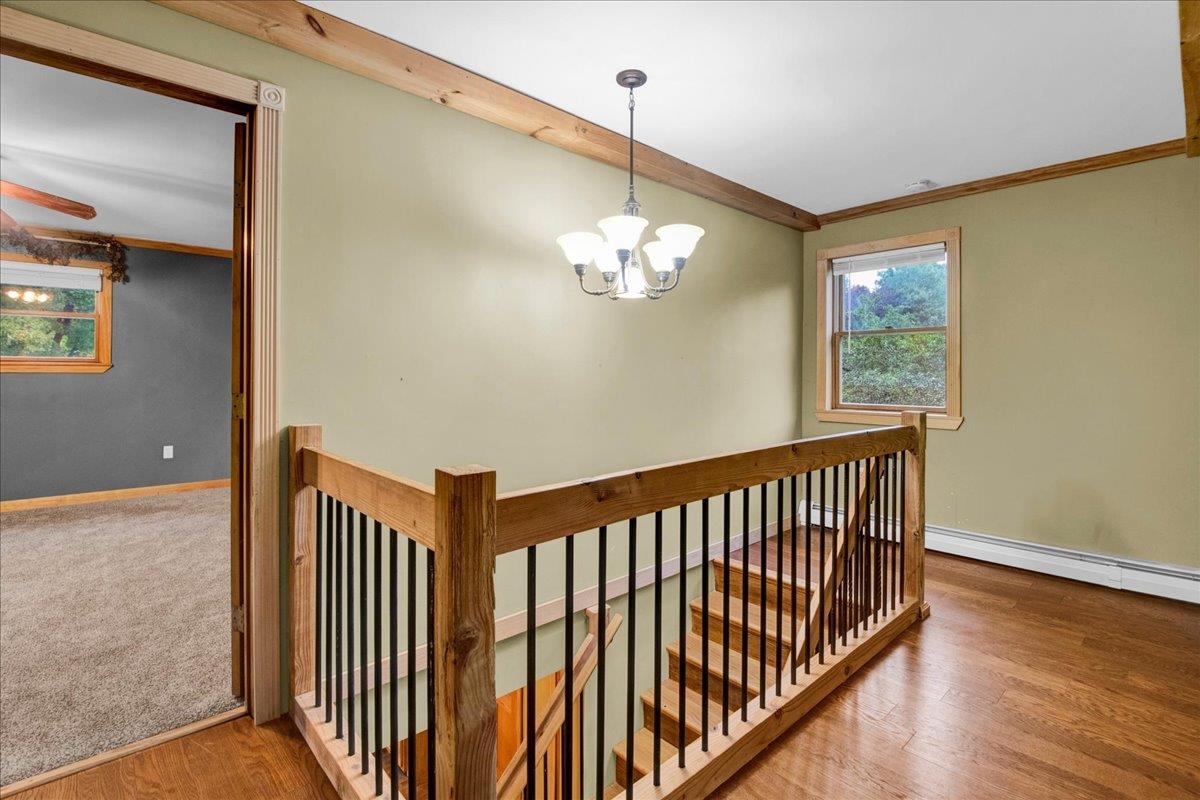 23 Ferris Street Property Photo 17
