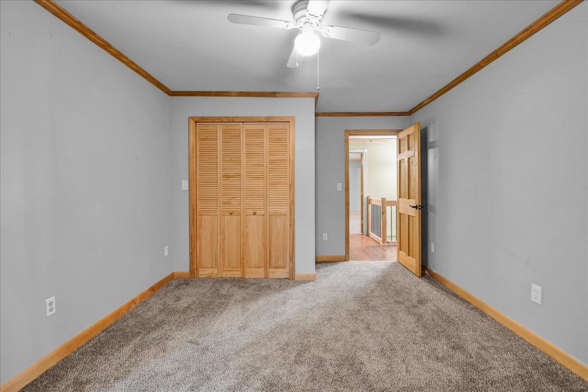 23 Ferris Street Property Photo 23