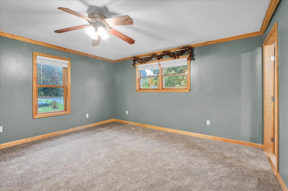 23 Ferris Street Property Photo 24