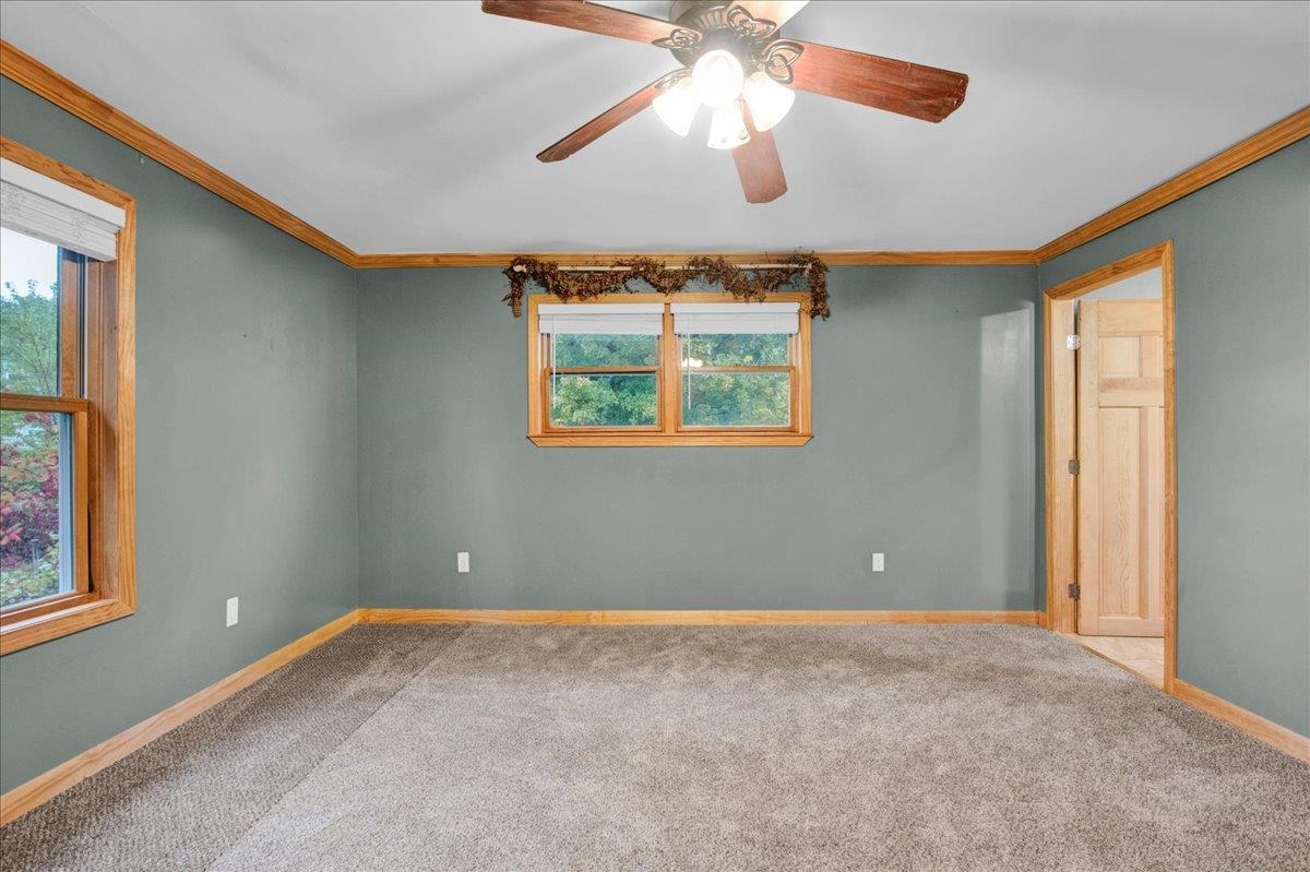 23 Ferris Street Property Photo 26