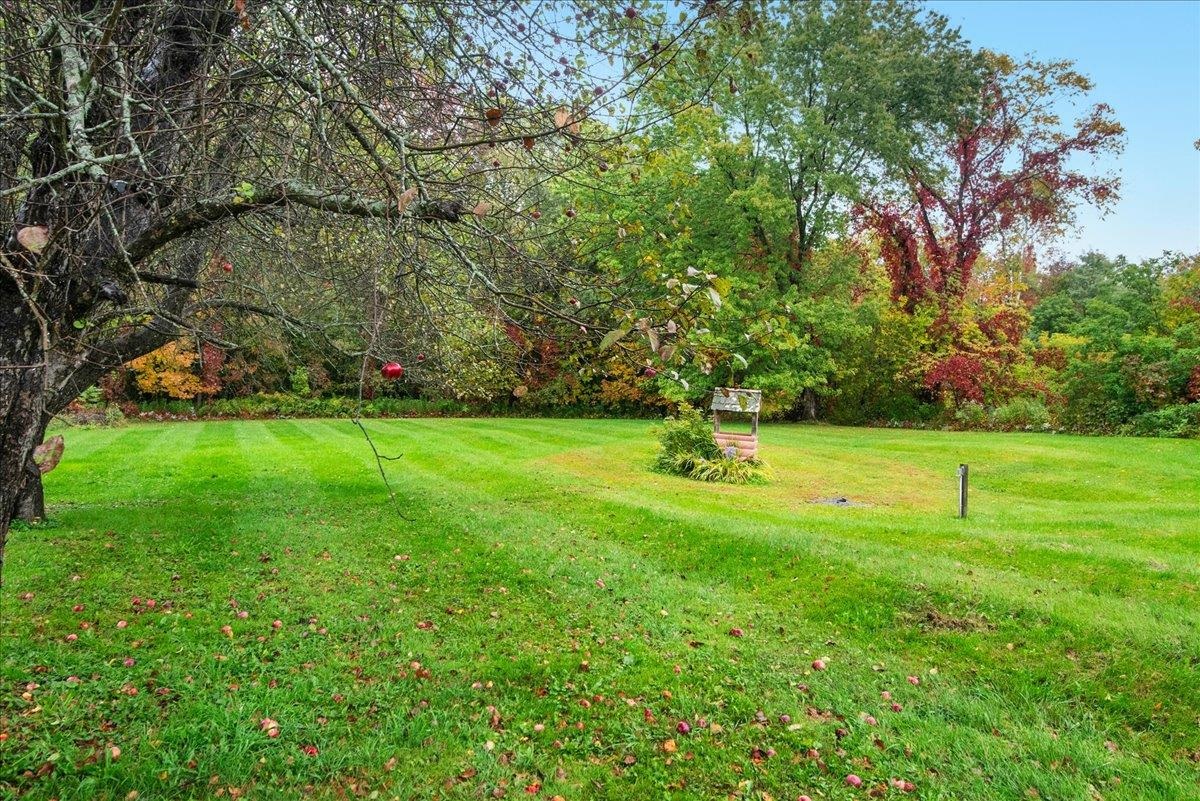 23 Ferris Street Property Photo 35