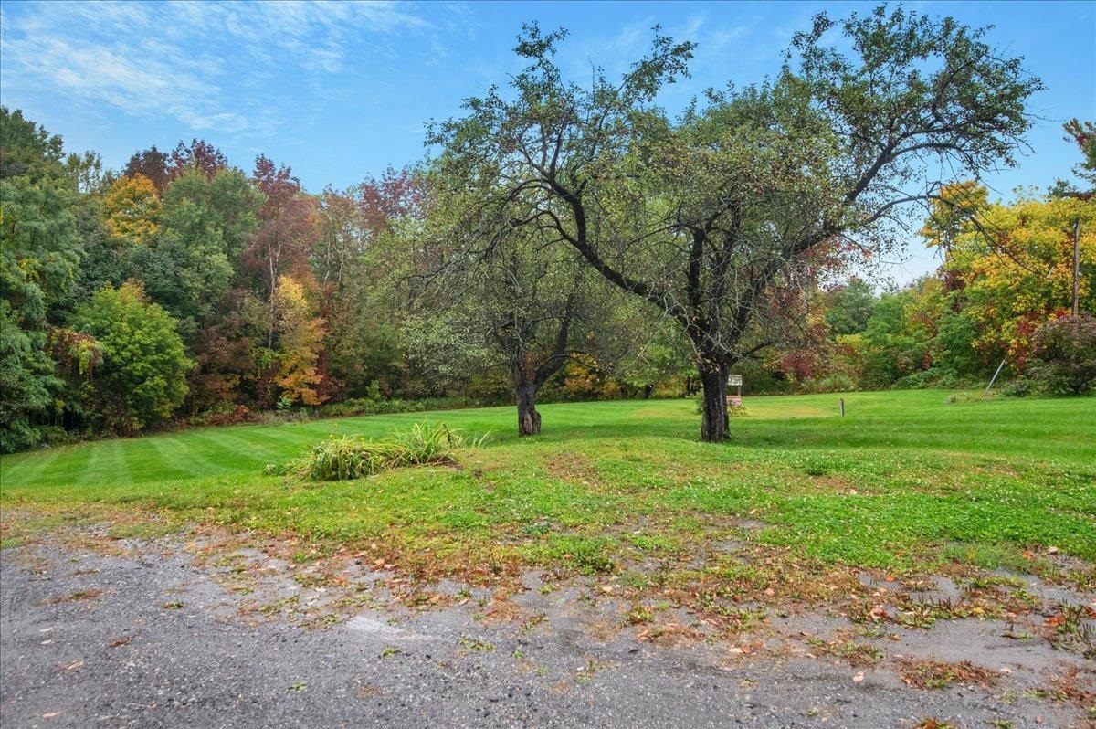 23 Ferris Street Property Photo 38