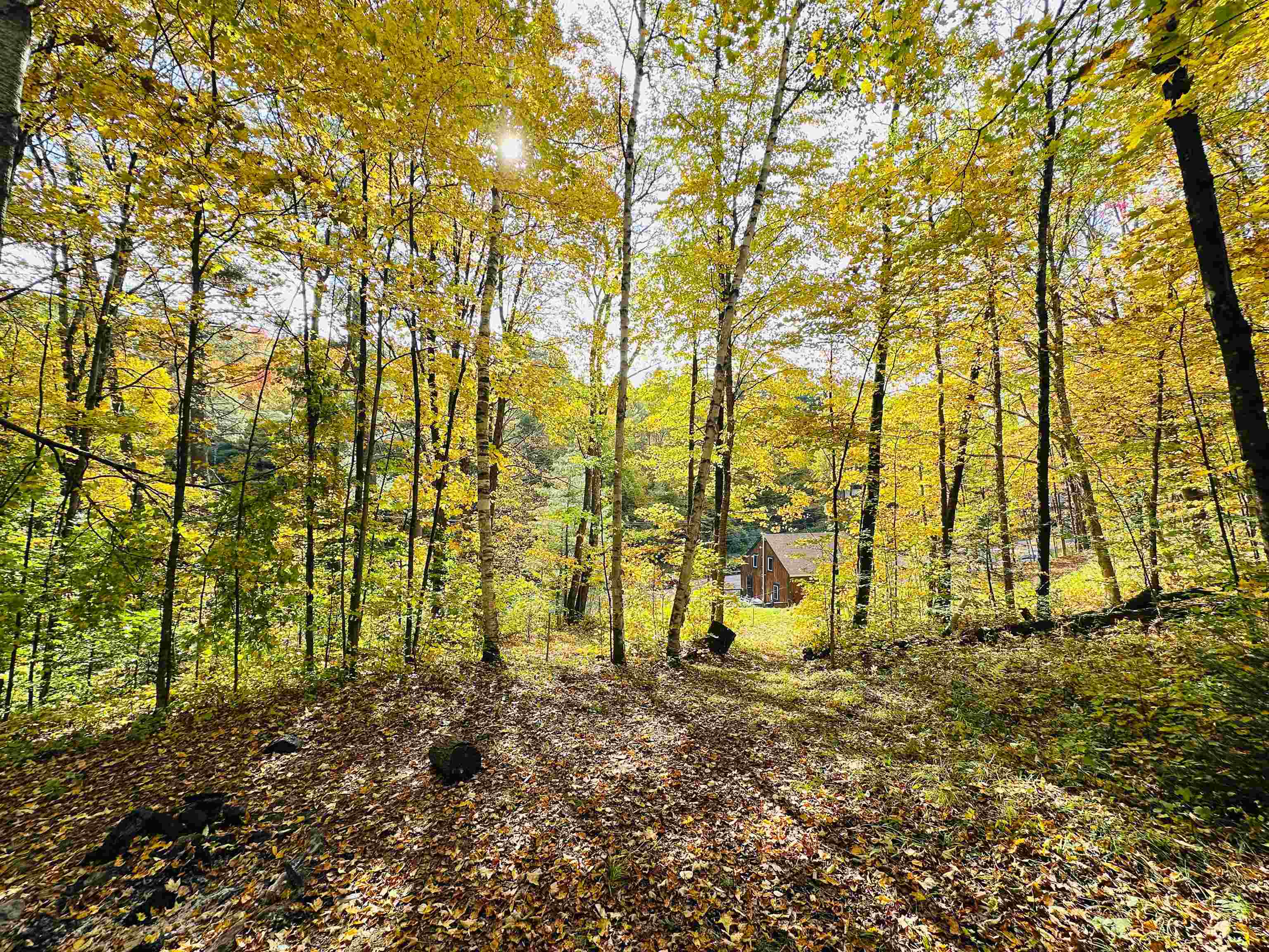 3080 Waterbury Road Property Photo 10