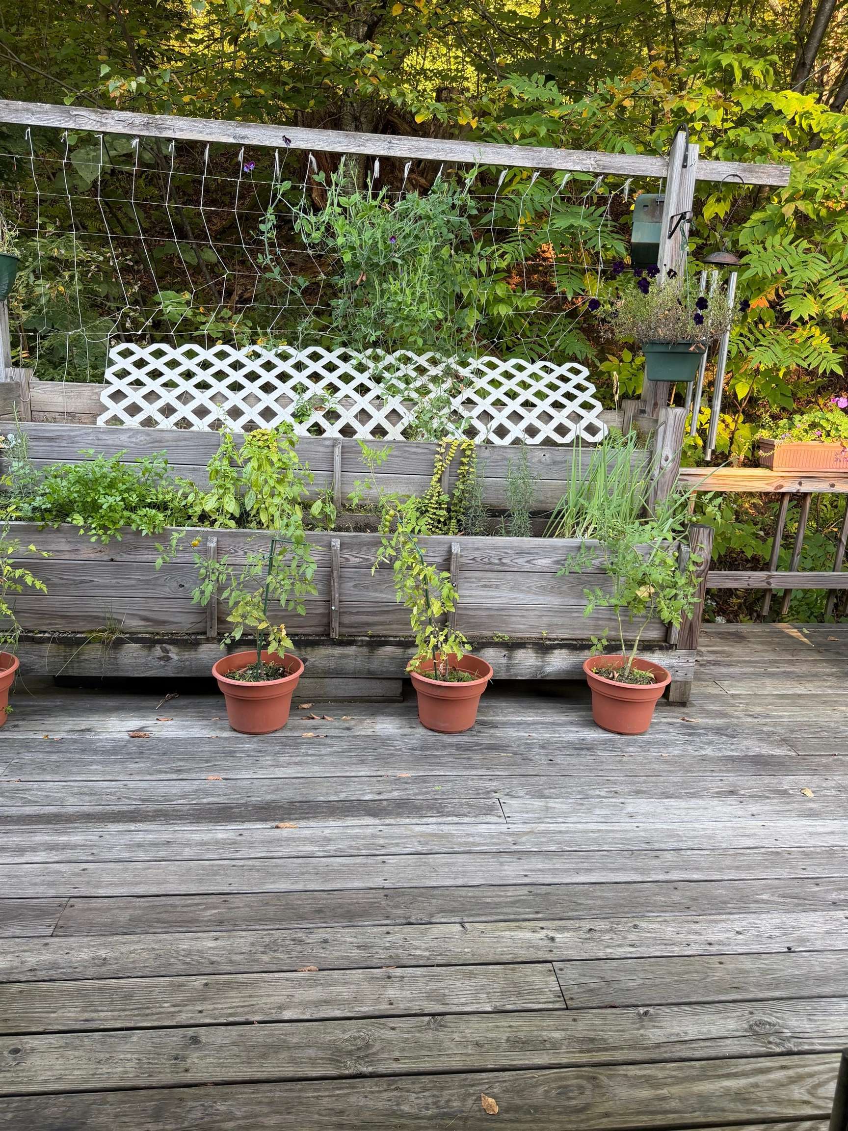 130 Robinson Road Property Photo 49