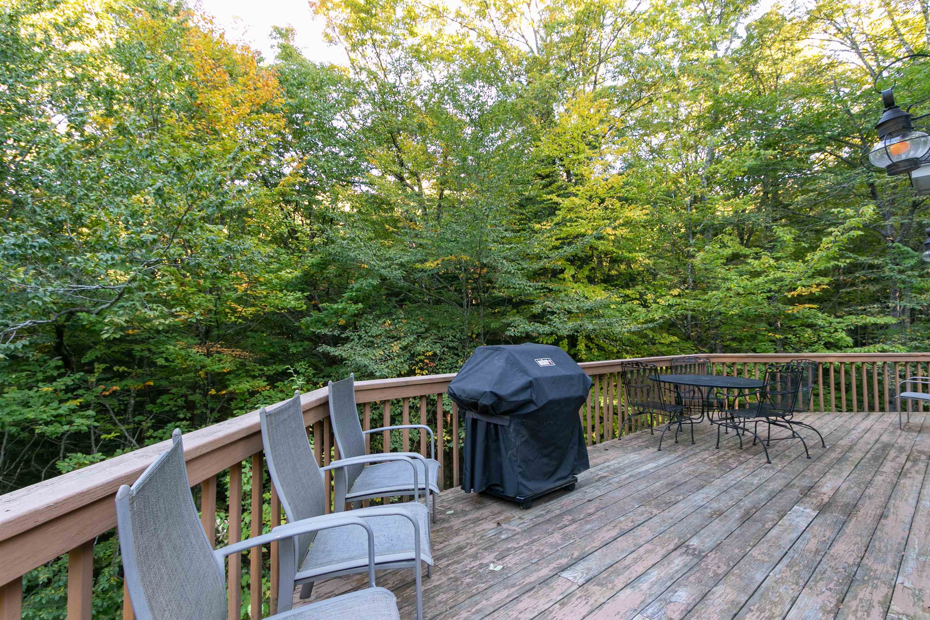 6 Jamie Lane Property Photo 30