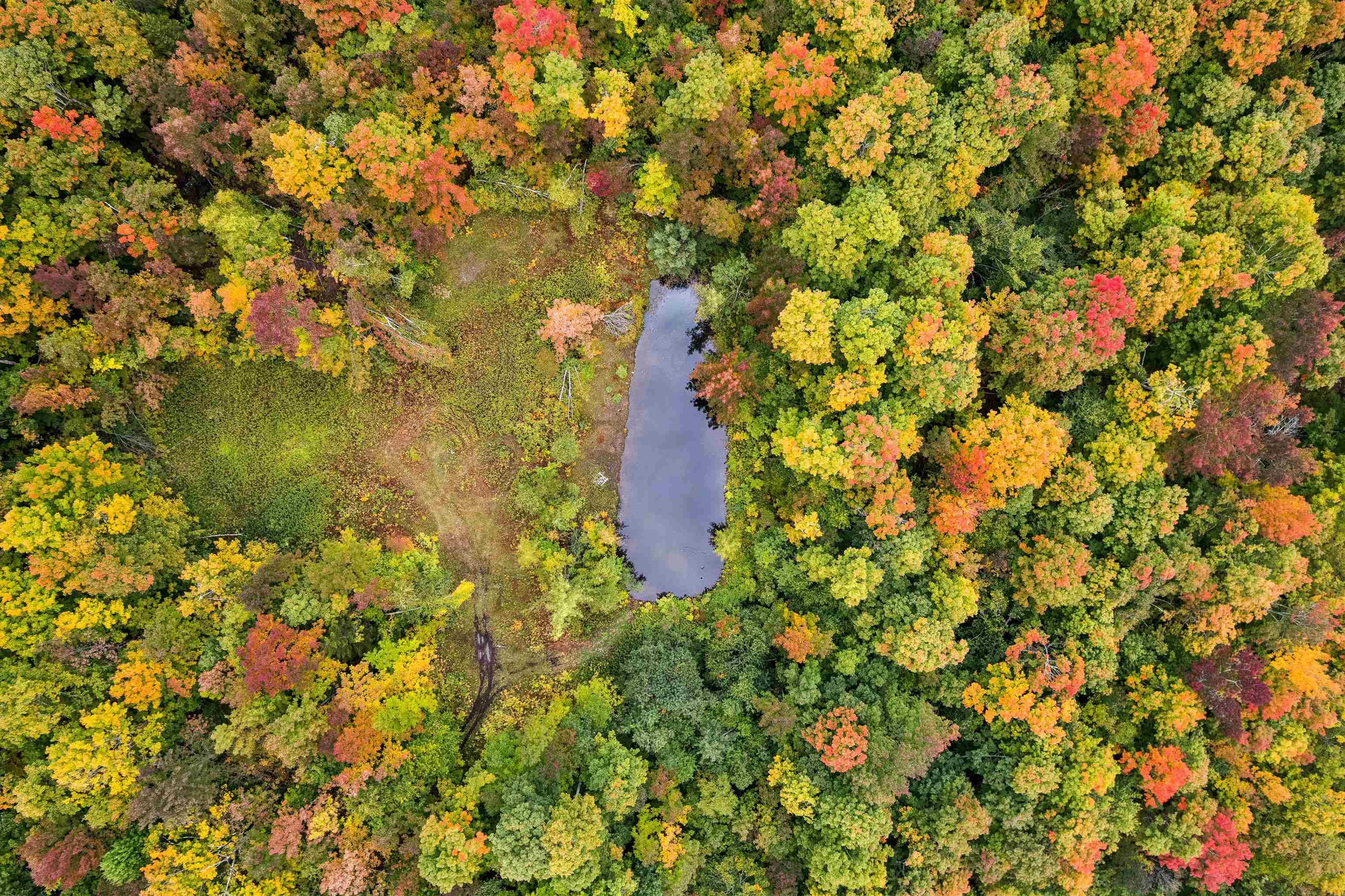1783 Stone Chimney Road Property Photo 40
