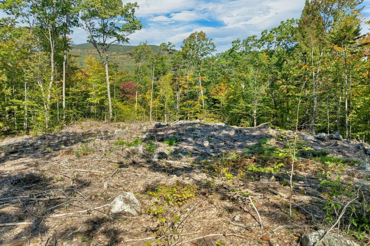 Lot 22 Mt Israel Road Property Photo 1