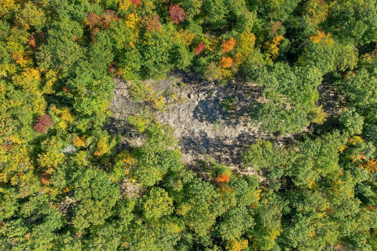 Lot 22 Mt Israel Road Property Photo 3