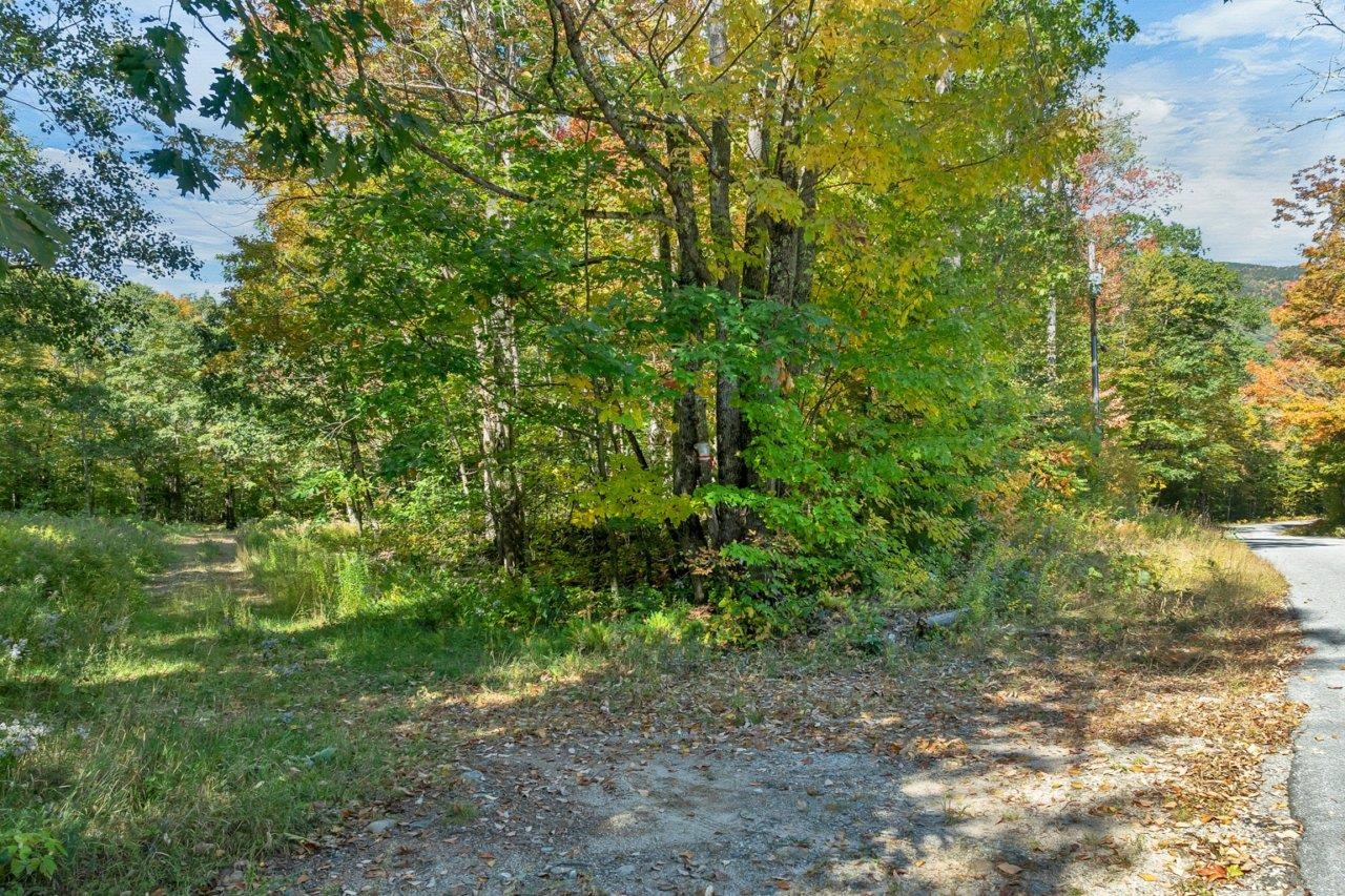 Lot 22 Mt Israel Road Property Photo 4