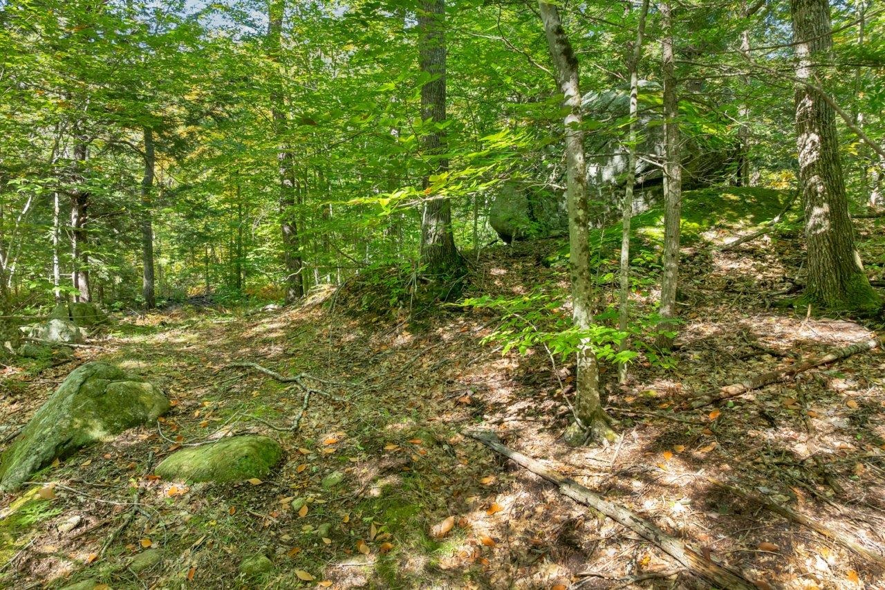 Lot 22 Mt Israel Road Property Photo 5
