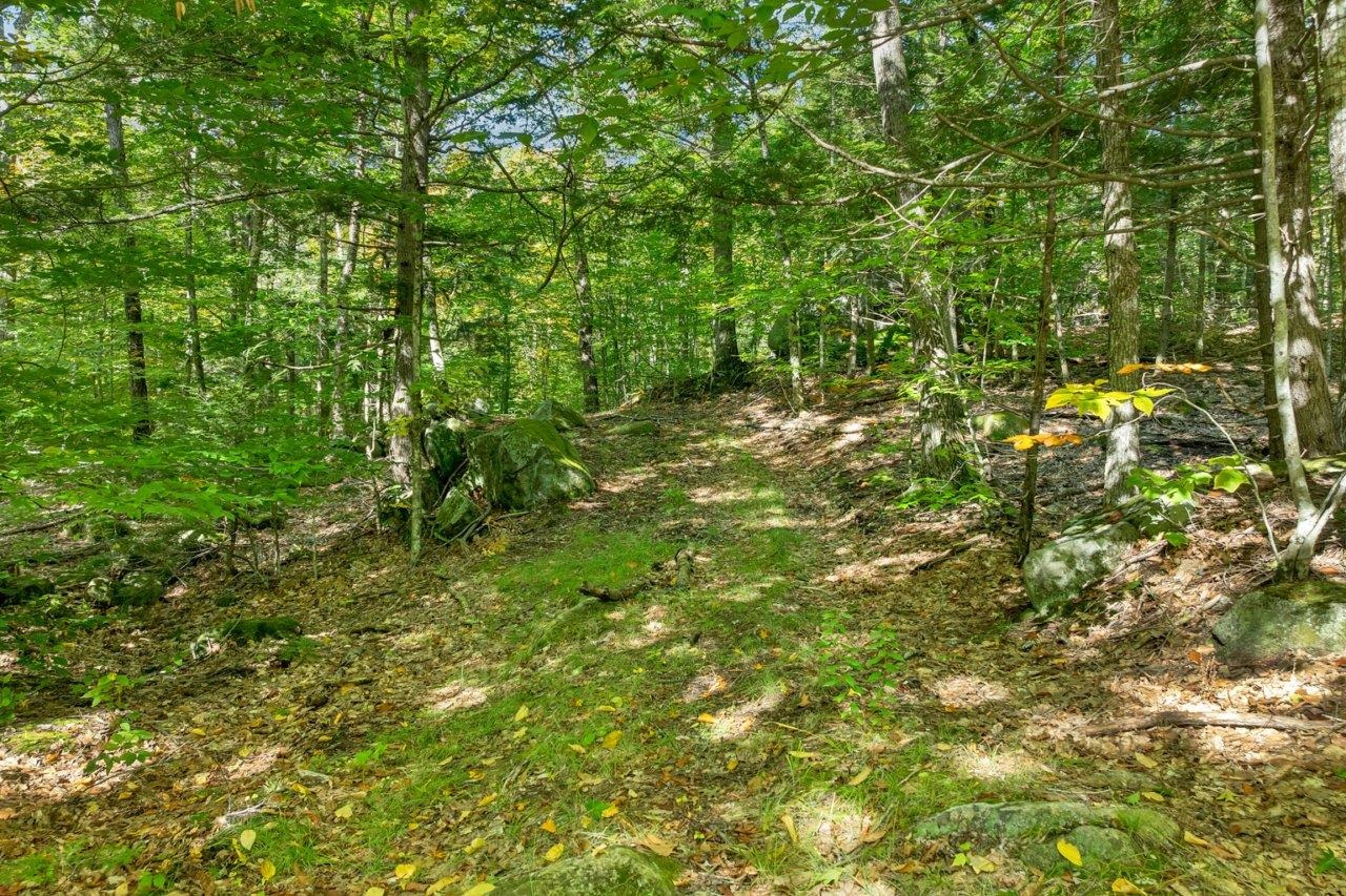Lot 22 Mt Israel Road Property Photo 7