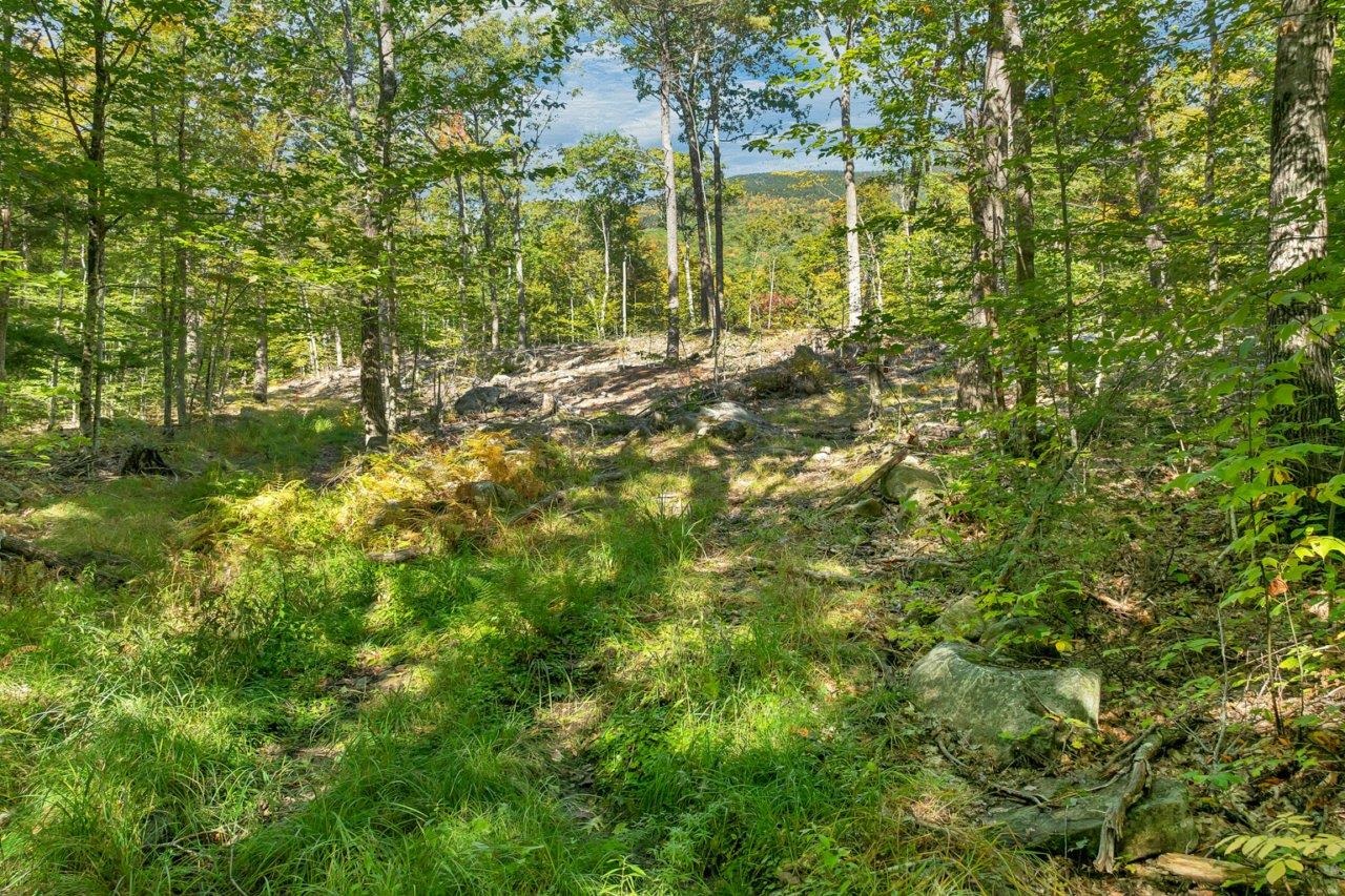 Lot 22 Mt Israel Road Property Photo 8