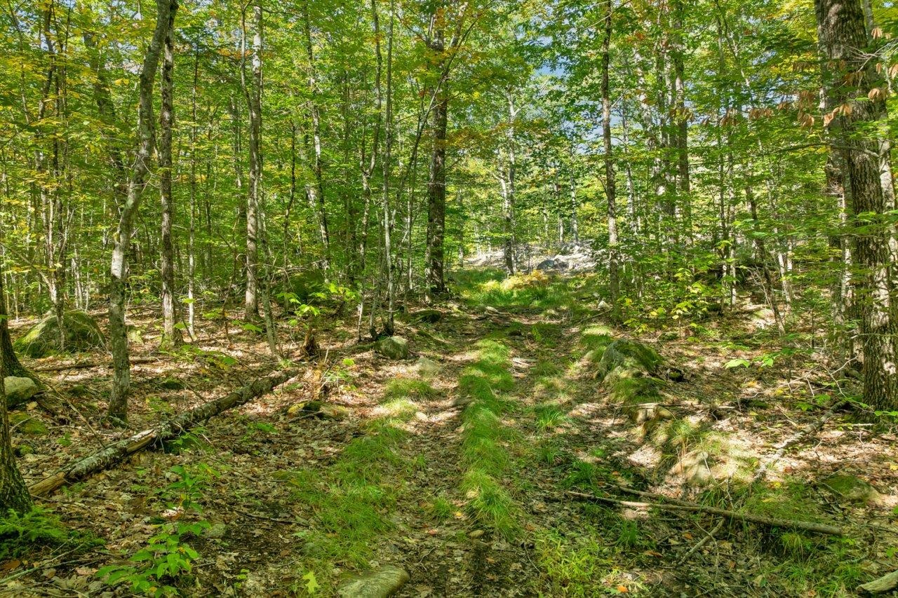 Lot 22 Mt Israel Road Property Photo 9
