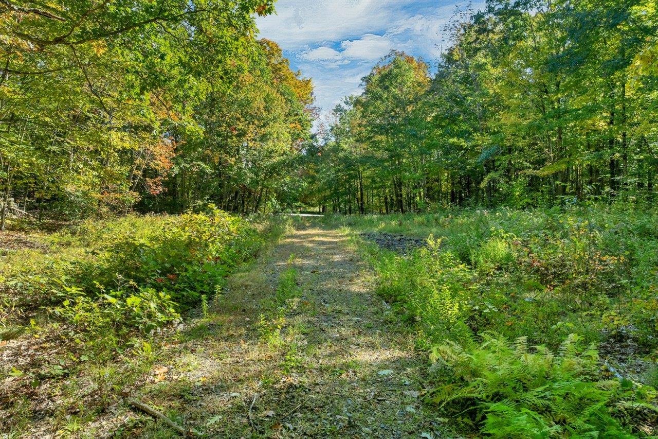 Lot 22 Mt Israel Road Property Photo 10
