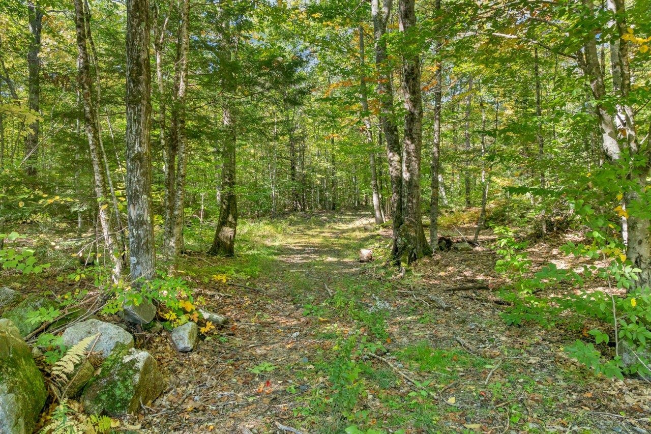 Lot 22 Mt Israel Road Property Photo 11