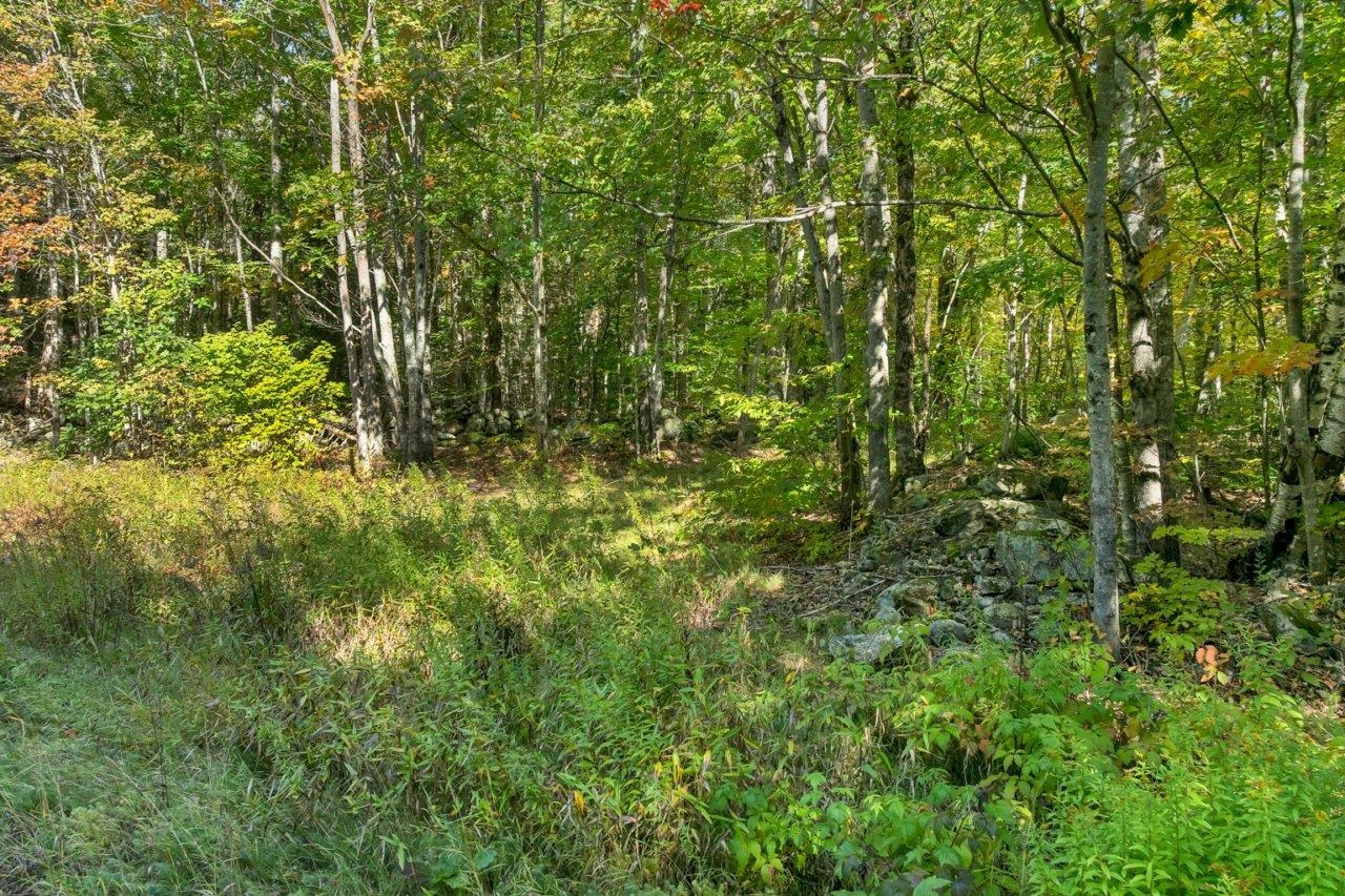 Lot 22 Mt Israel Road Property Photo 12