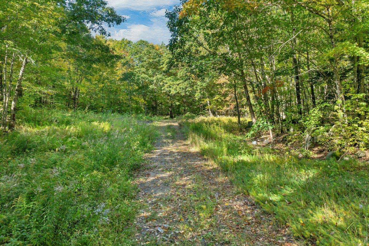 Lot 22 Mt Israel Road Property Photo 13