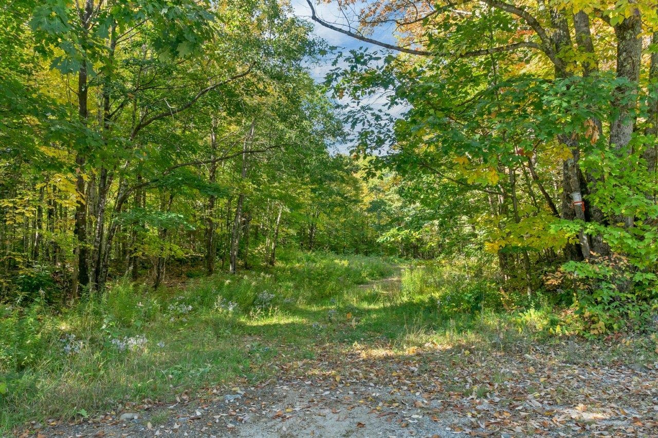 Lot 22 Mt Israel Road Property Photo 14