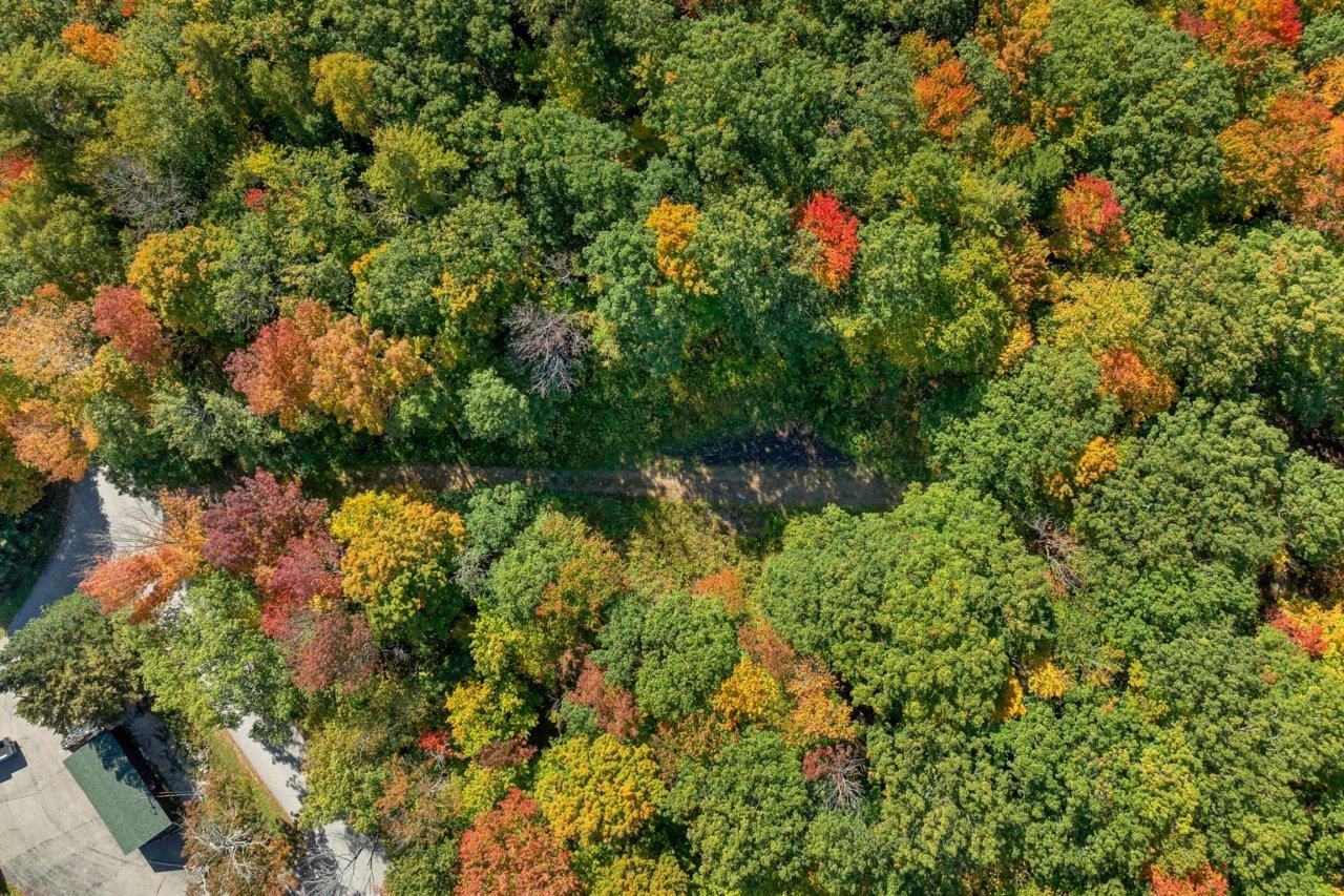 Lot 22 Mt Israel Road Property Photo 15